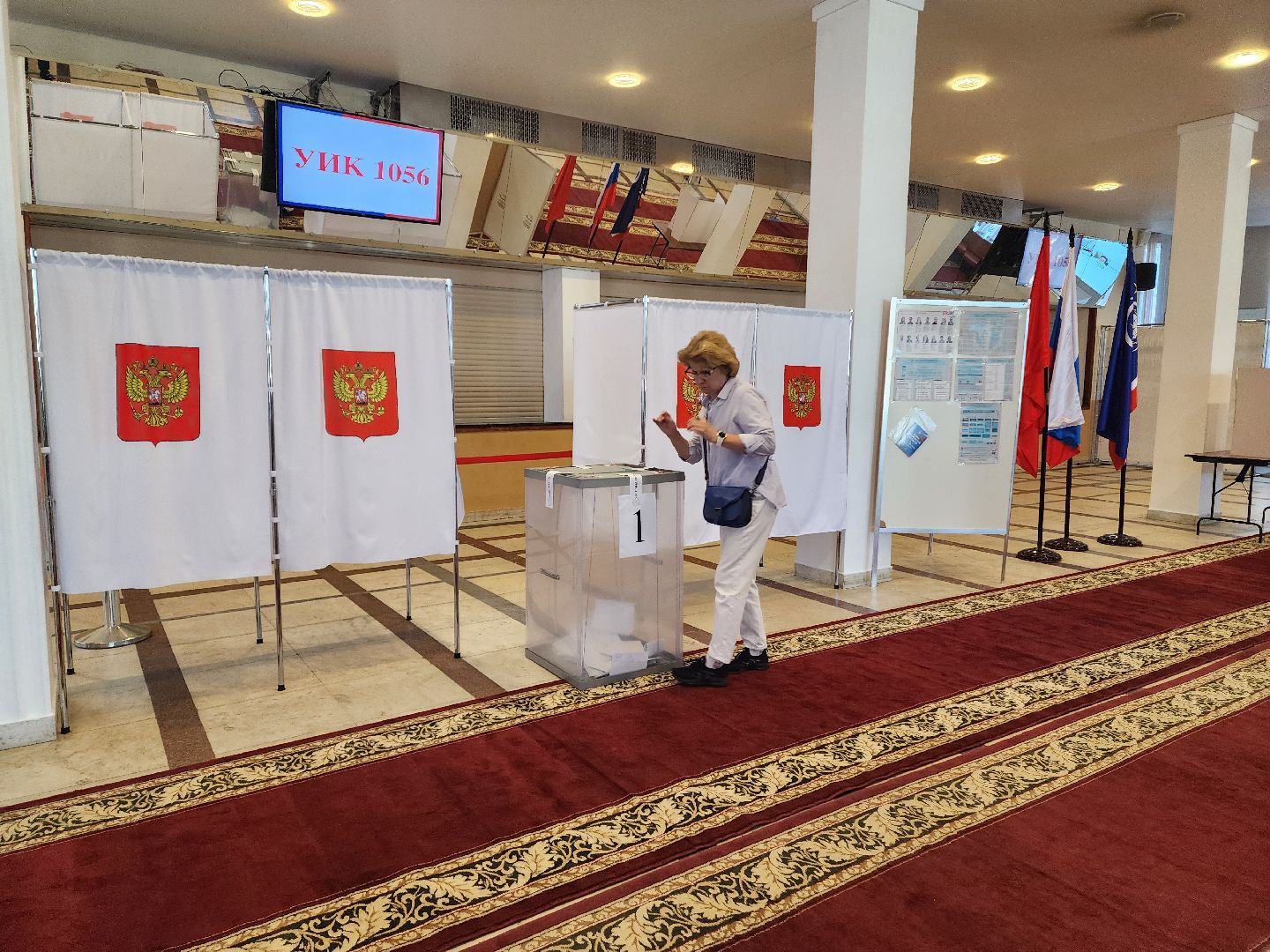выборы