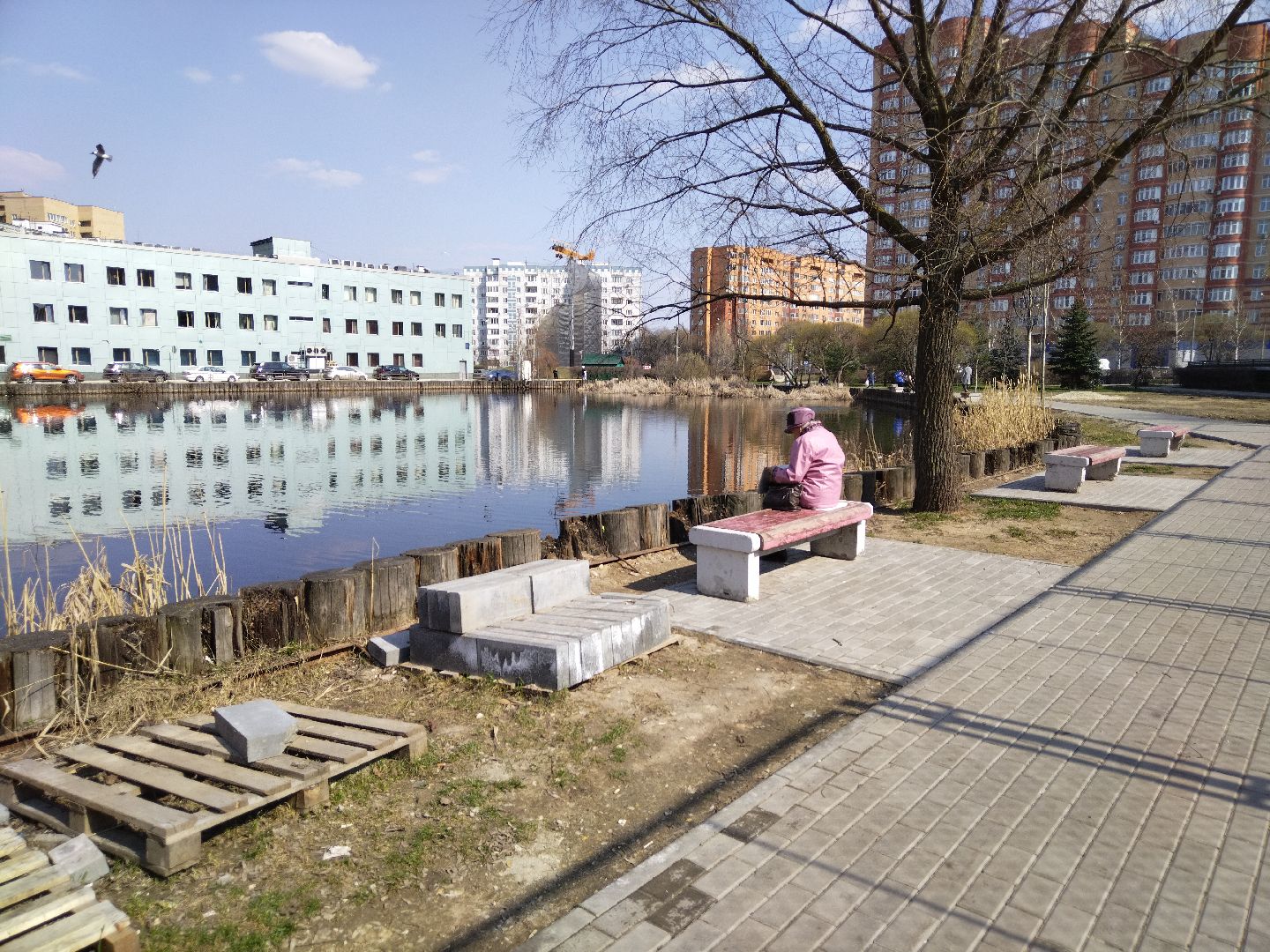 городская среда