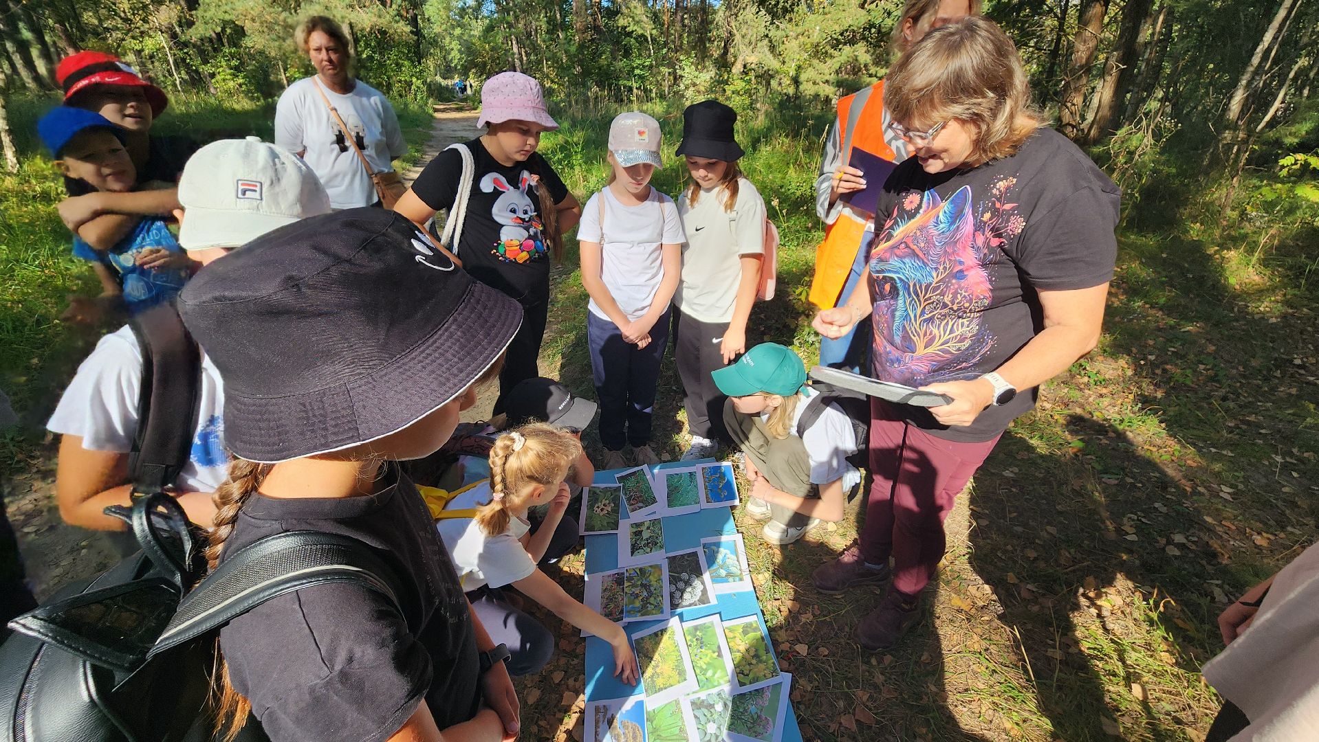 дюц горизонт