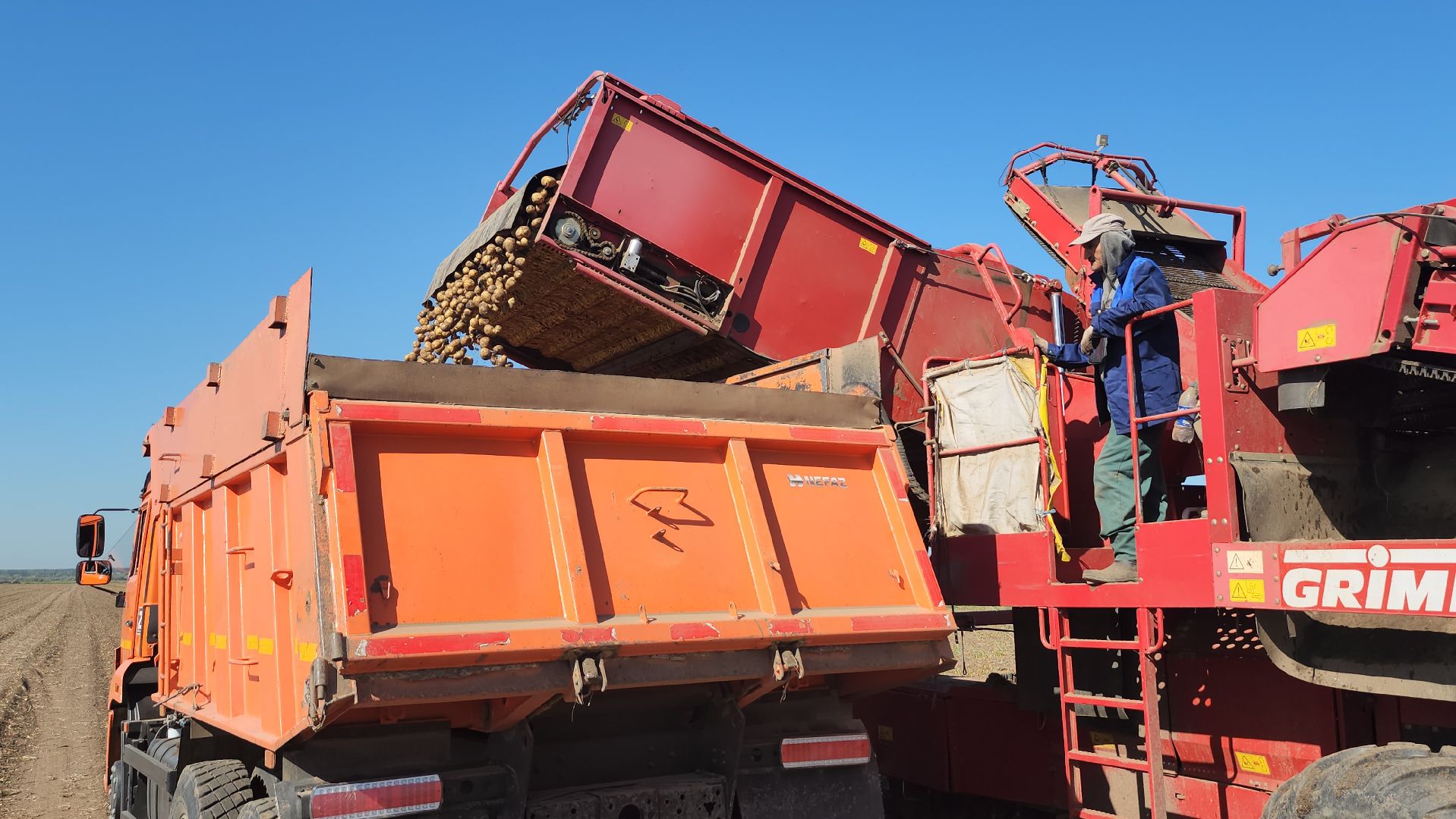 сельское хозяйство