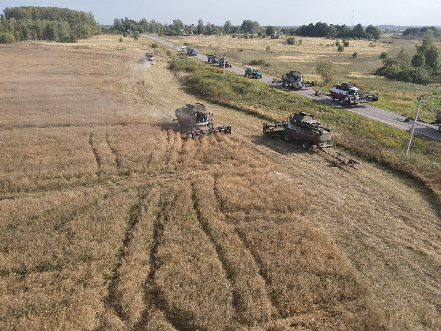 сельское хозяйство