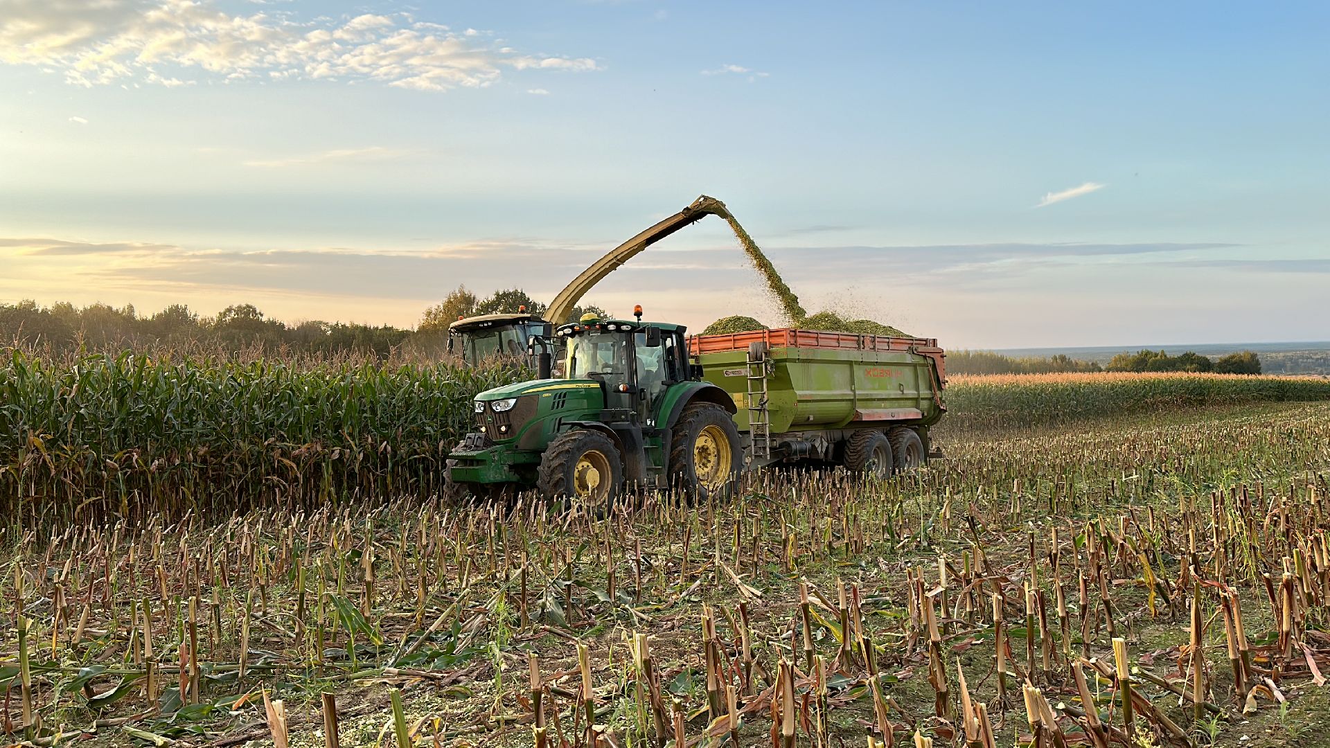 сельское хозяйство