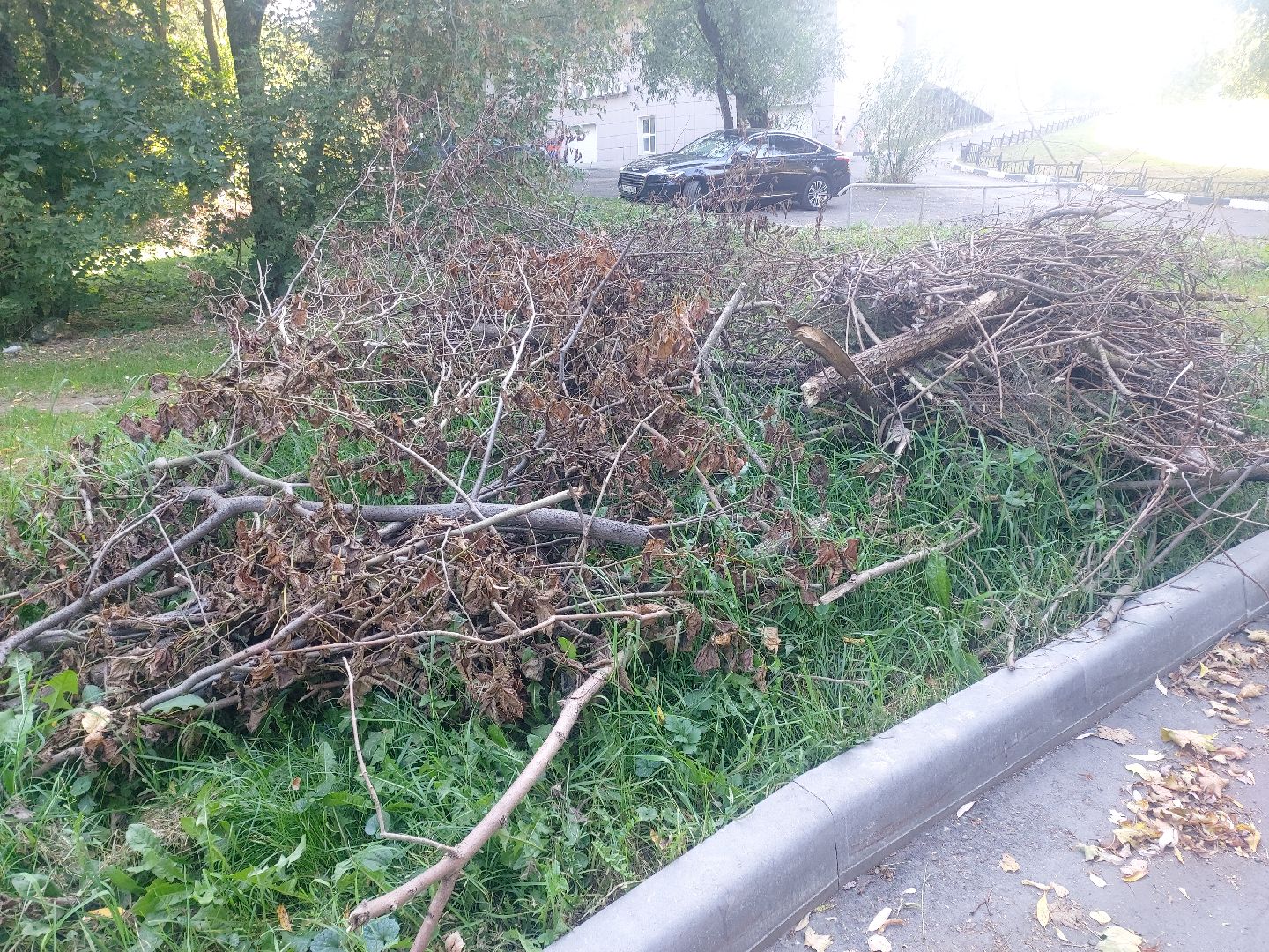 содержание дворовых территорий