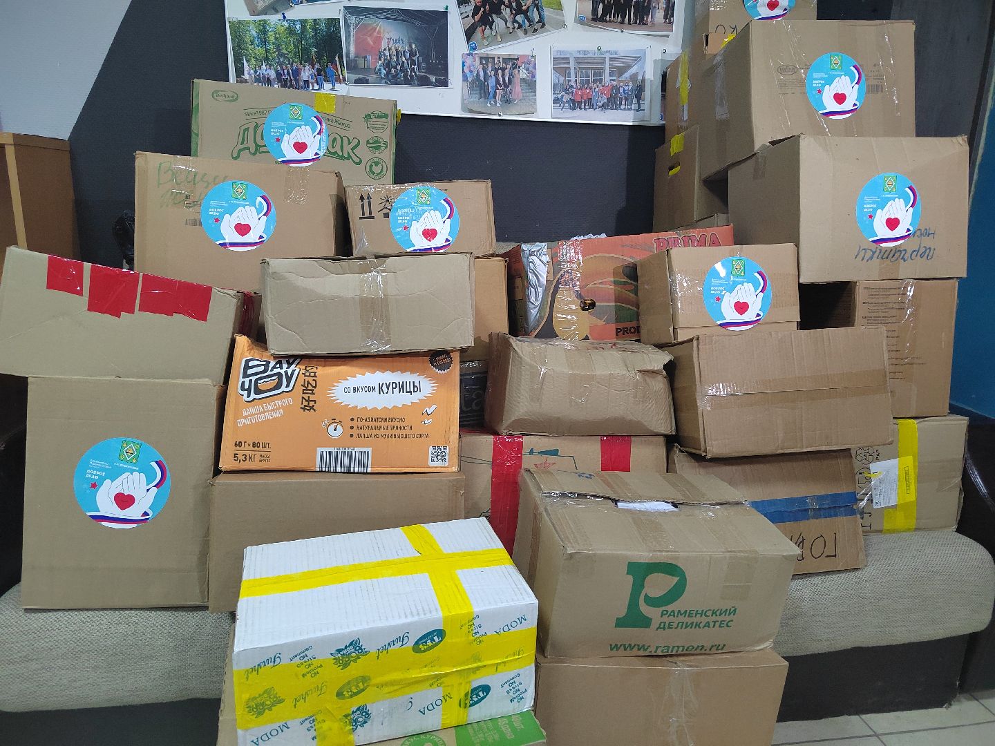 волонтеры подмосковья