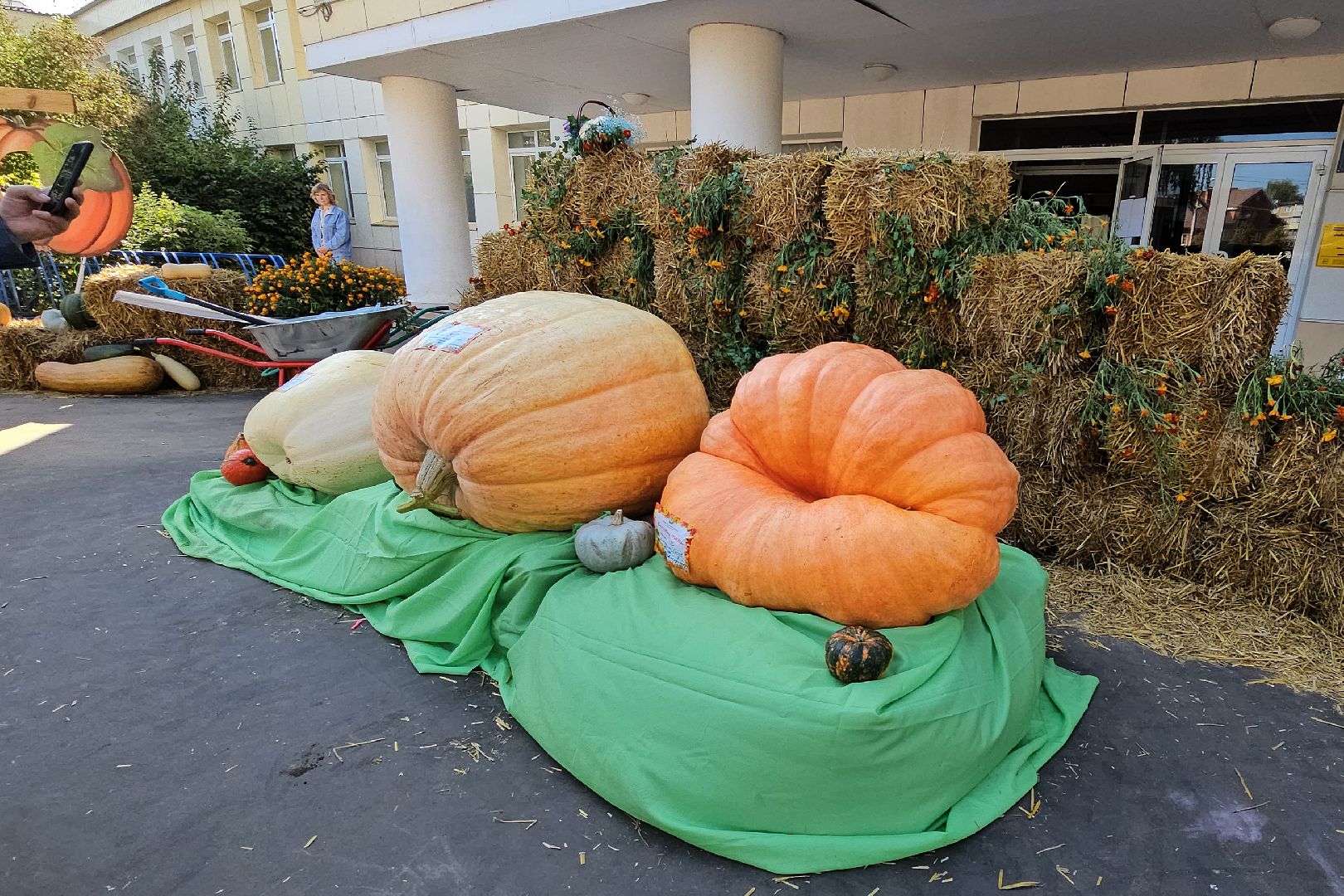 сельское хозяйство