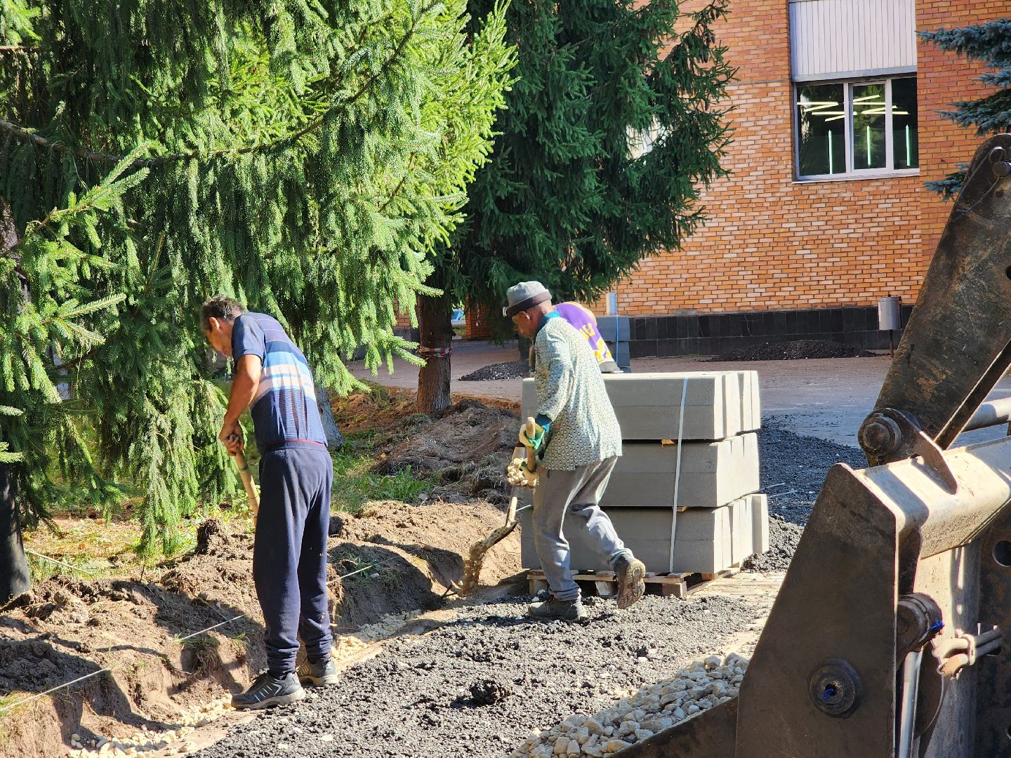 Дороги