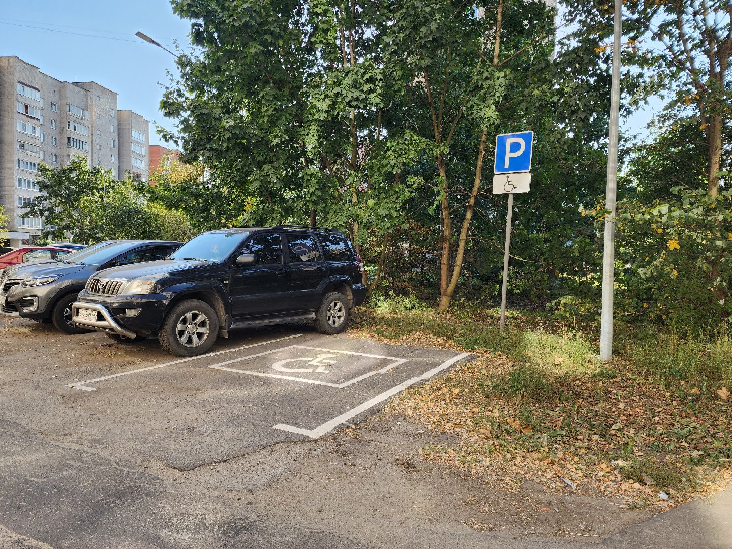 дорожная разметка
