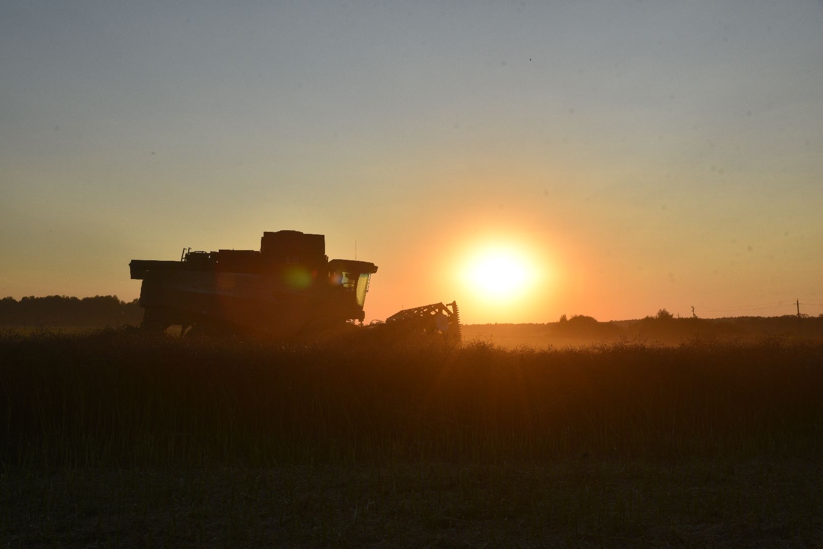 сельское хозяйство