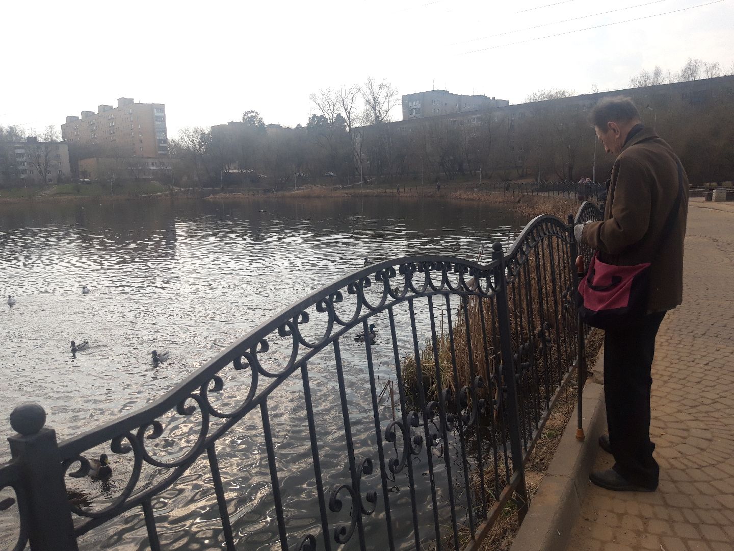 пенсионеры