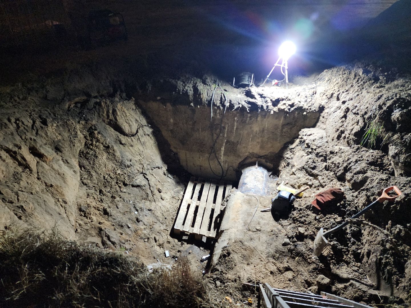 Черноголовка