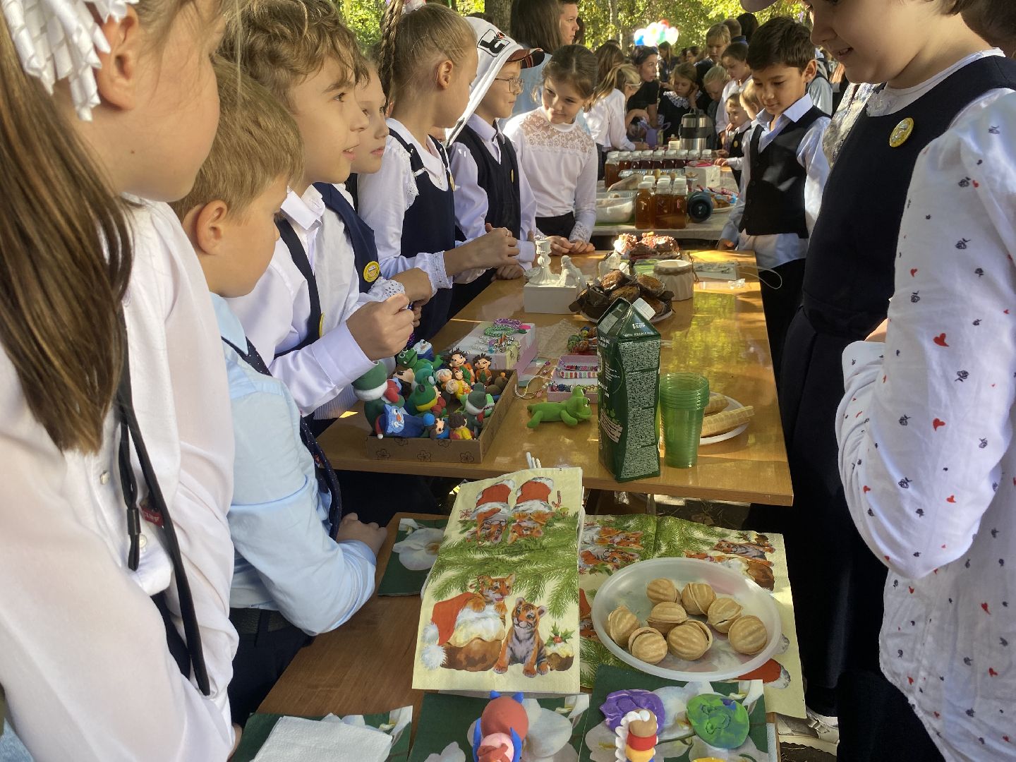 доброволец рвсн