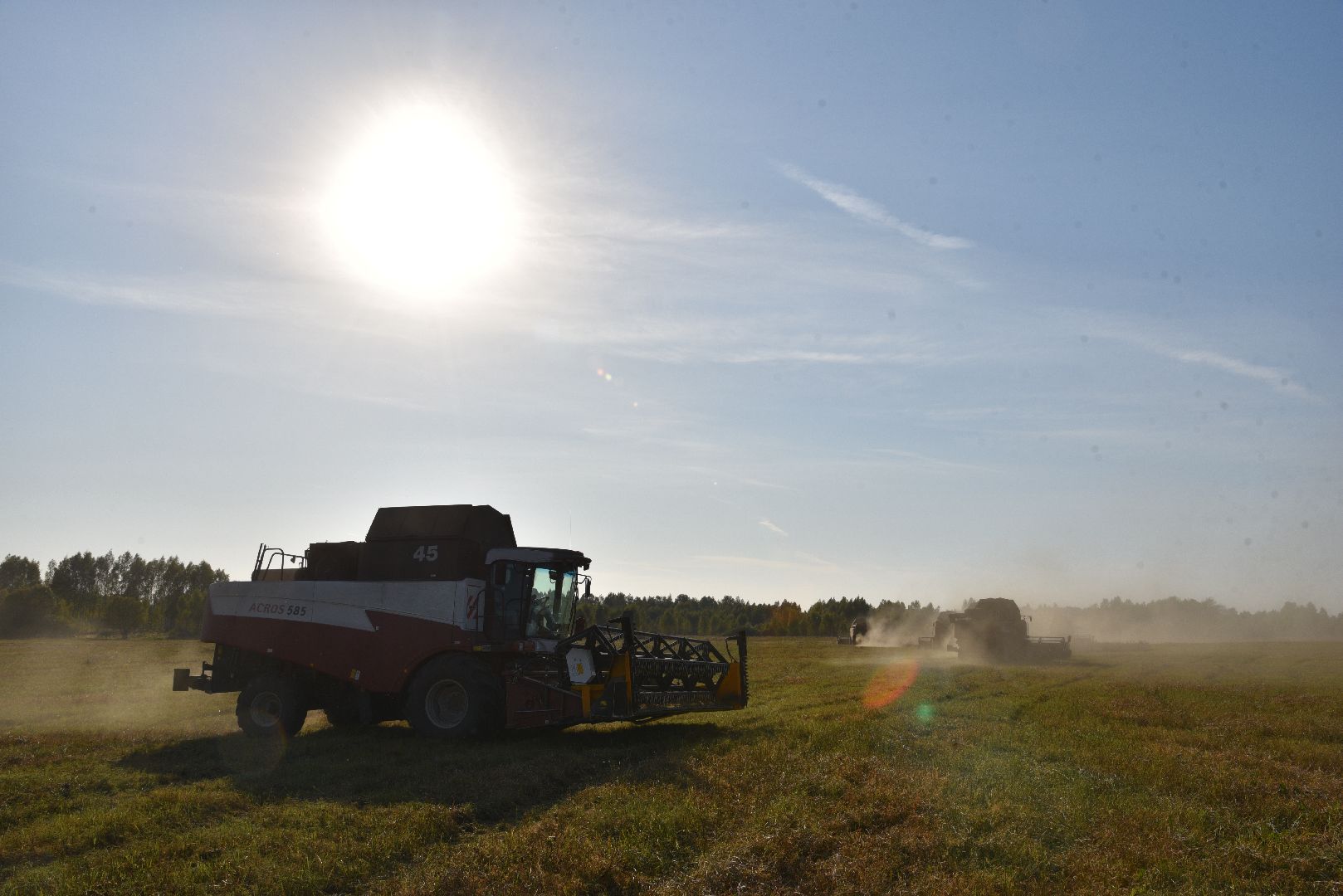 сельское хозяйство