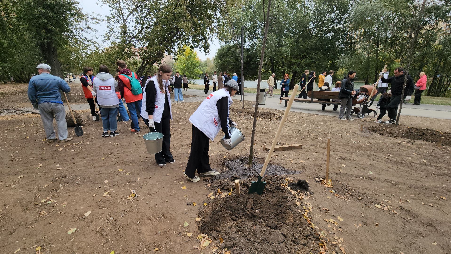 наташинский парк