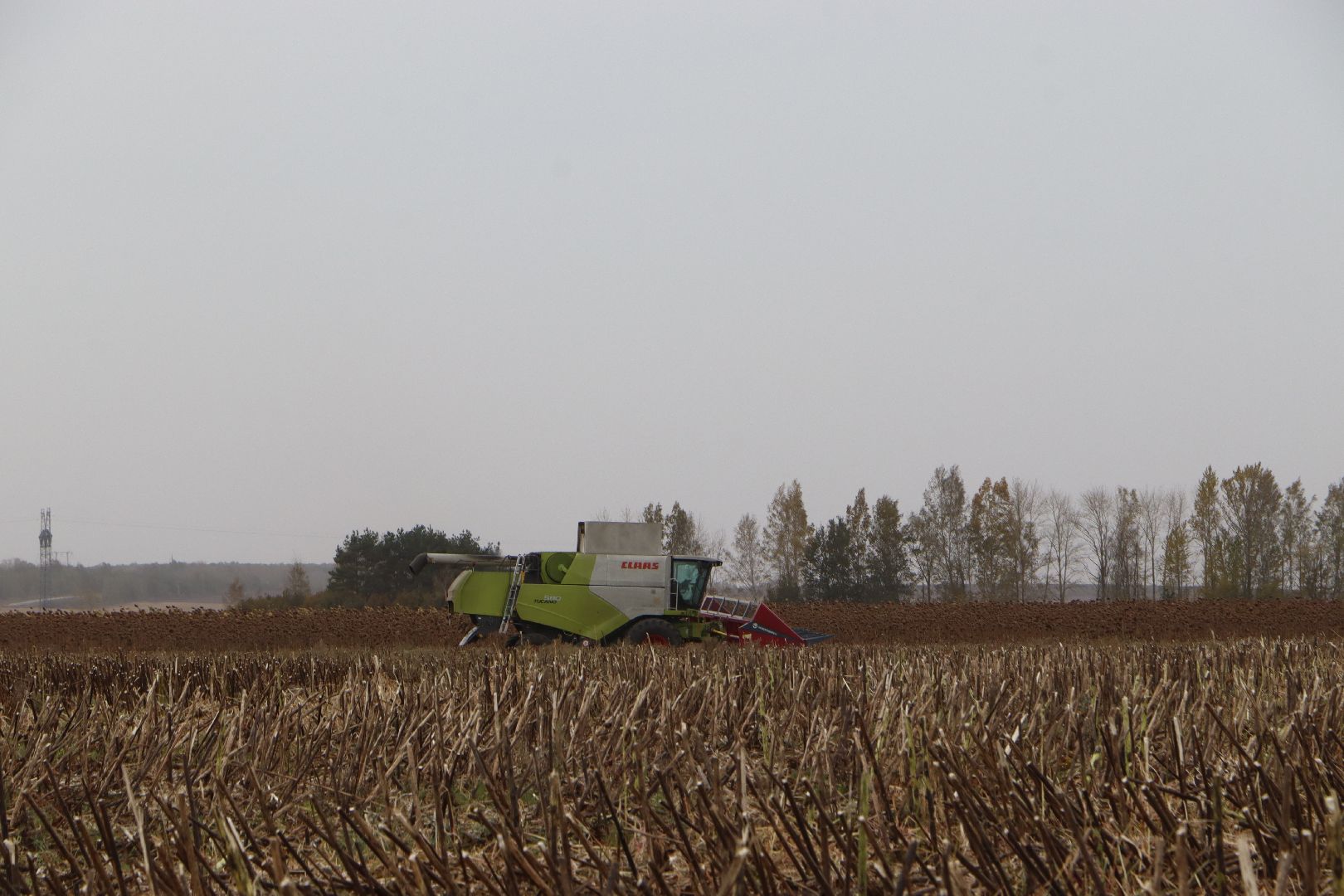 серебряные пруды