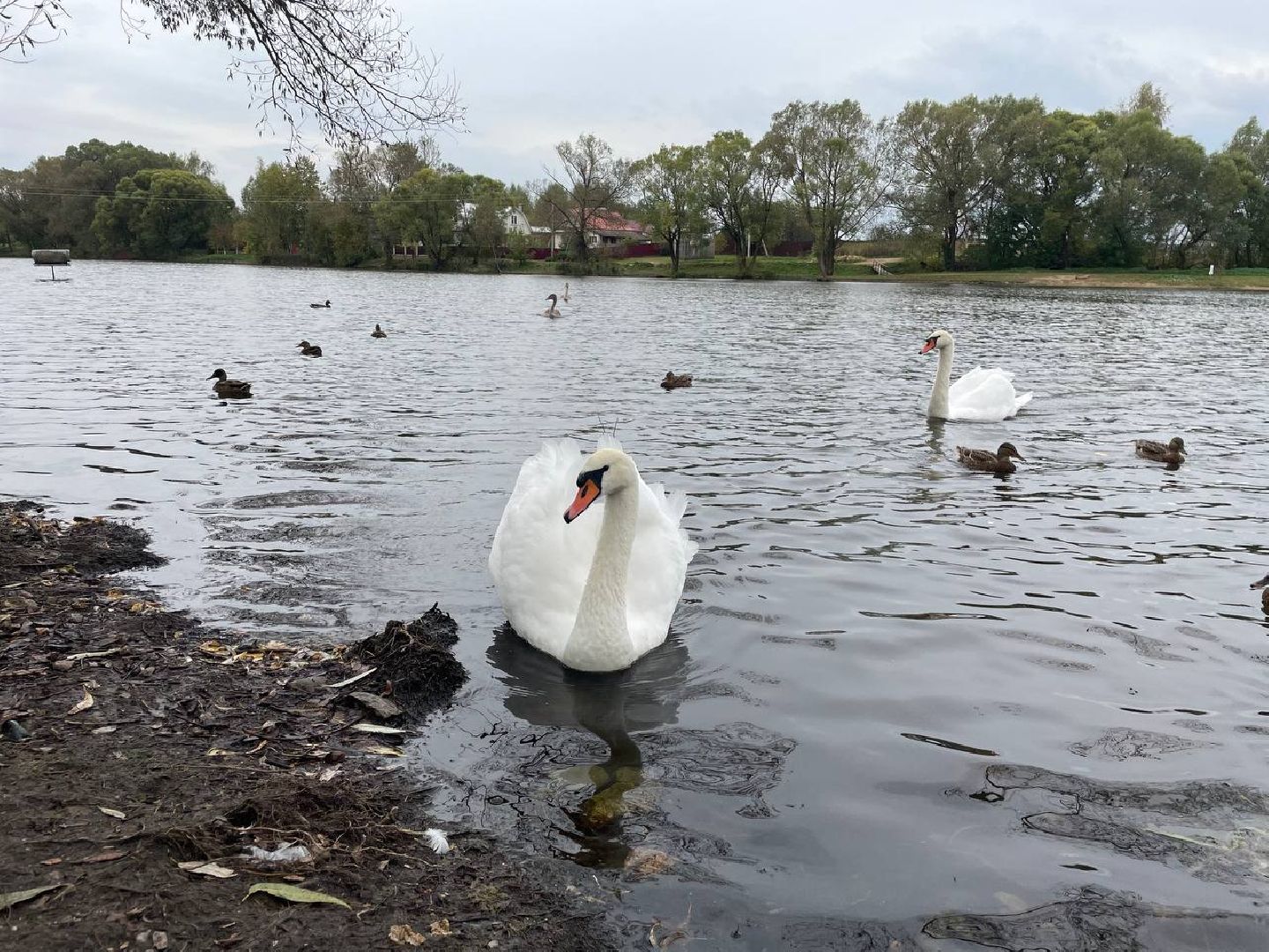 Водохранилище