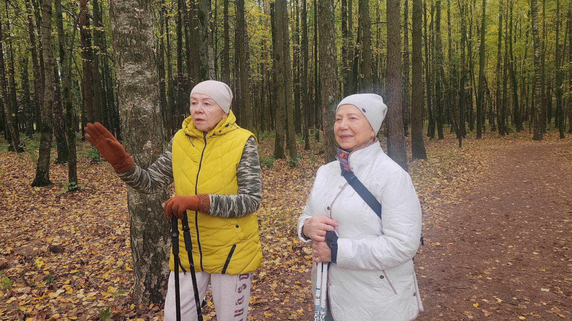 Звенигород