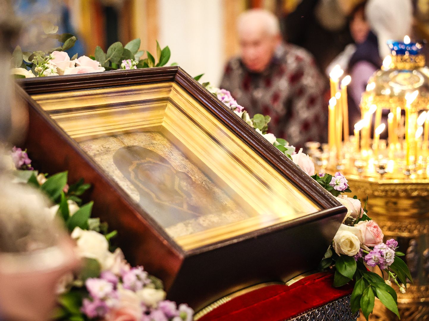 павшинская пойма
