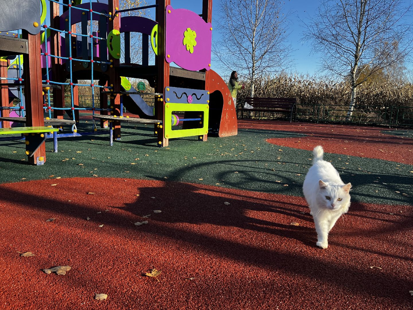 детская площадка