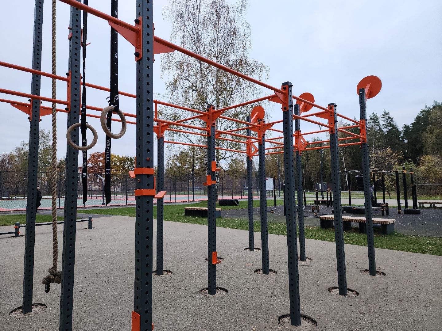 Черноголовка