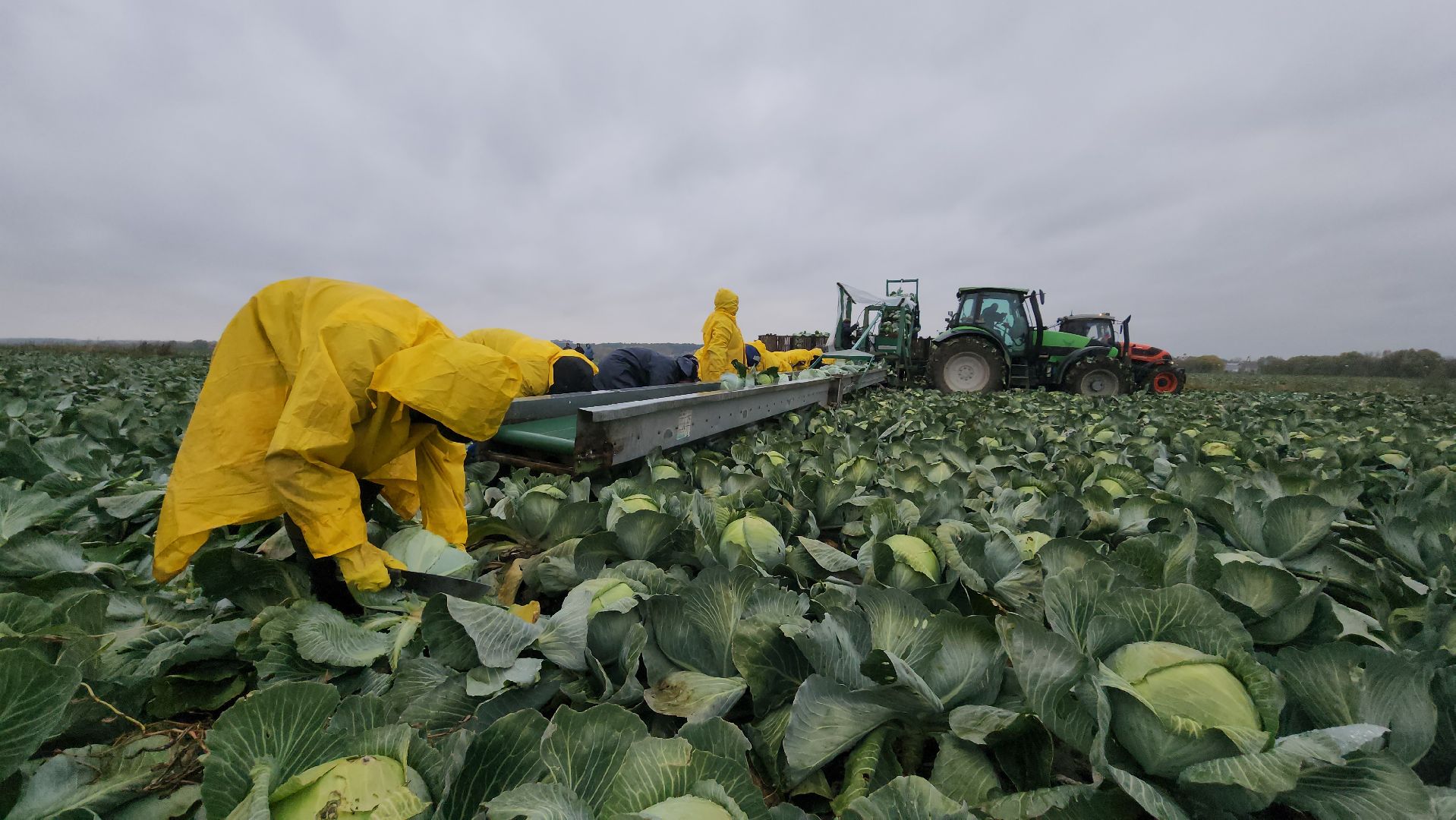 сельское хозяйство