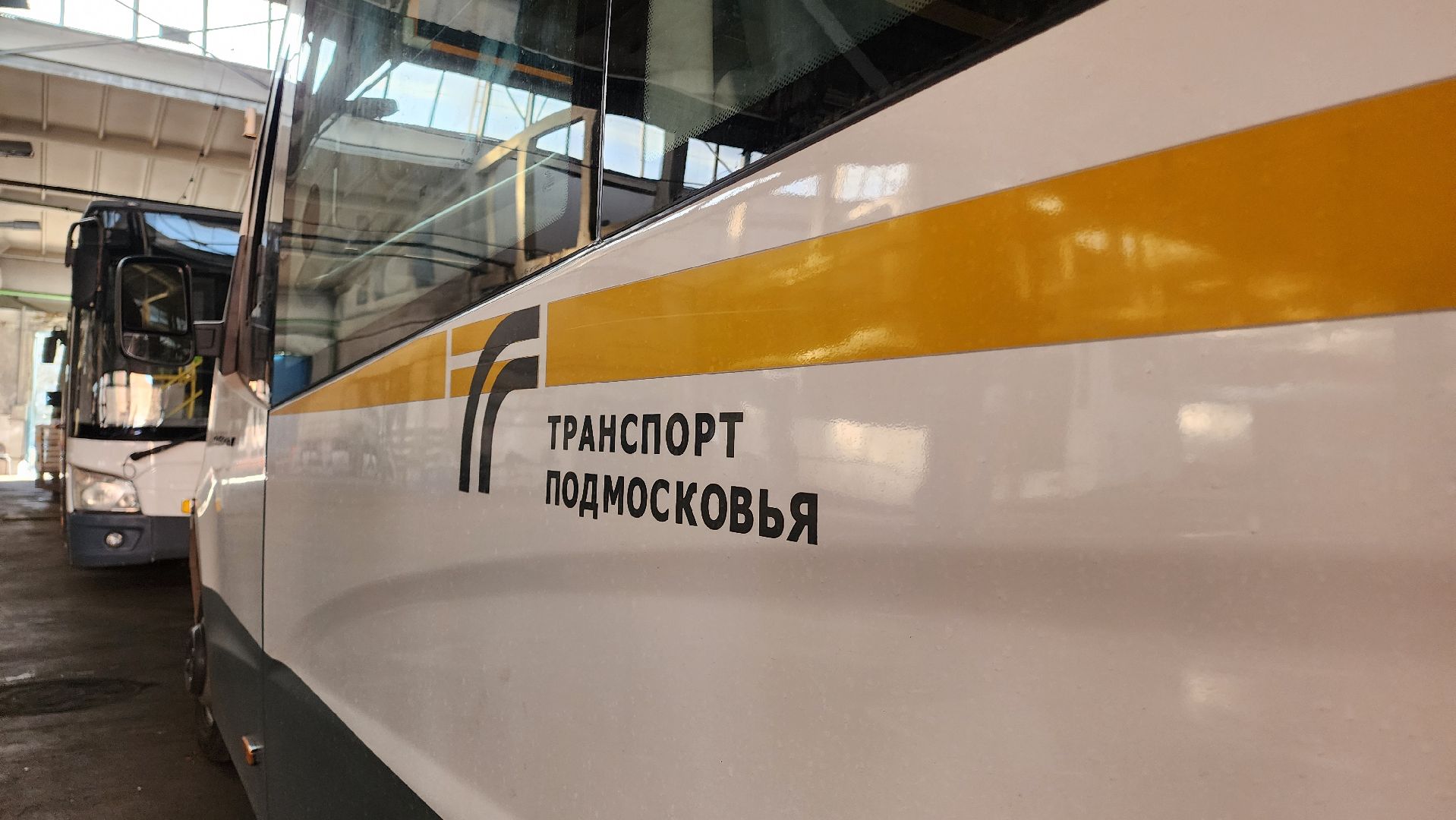 ель