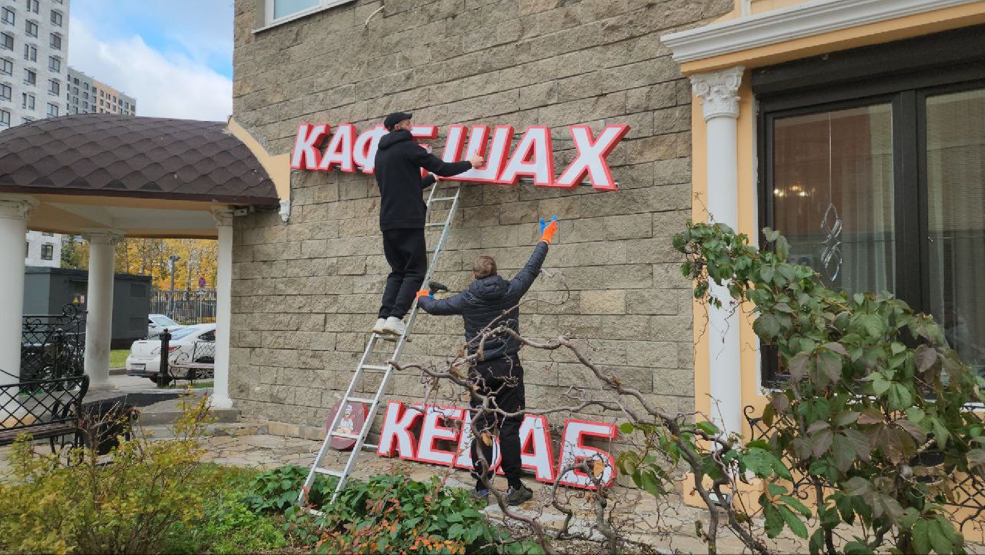 ель