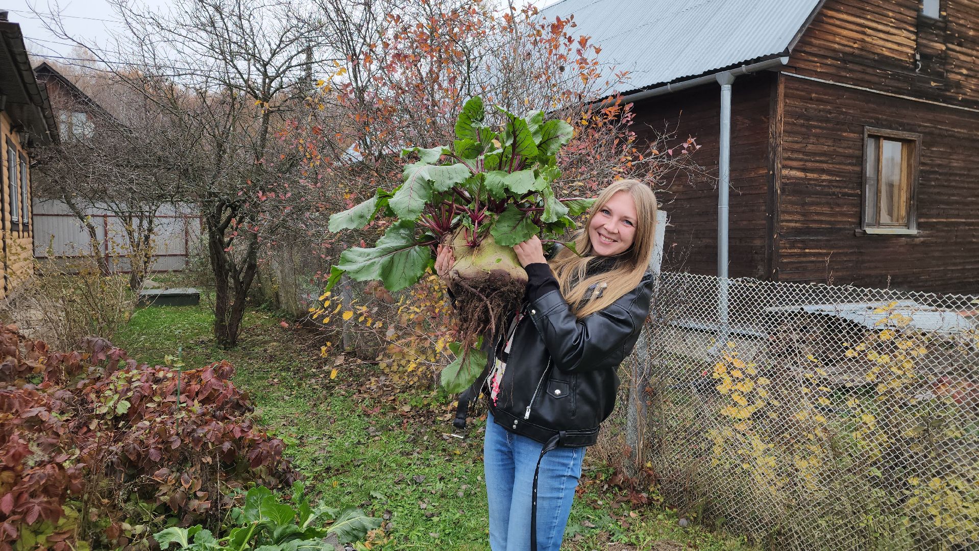 ель