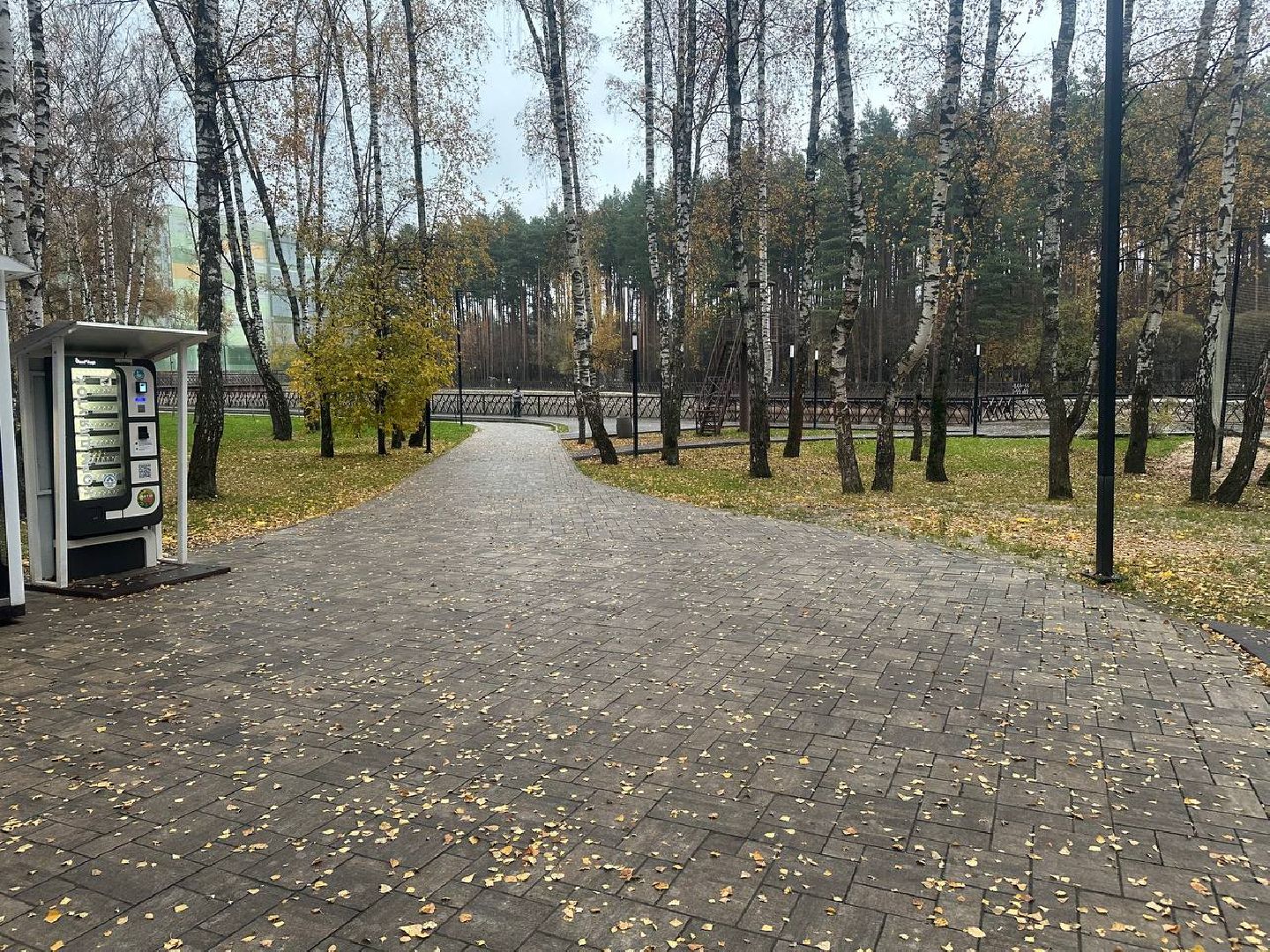 уток