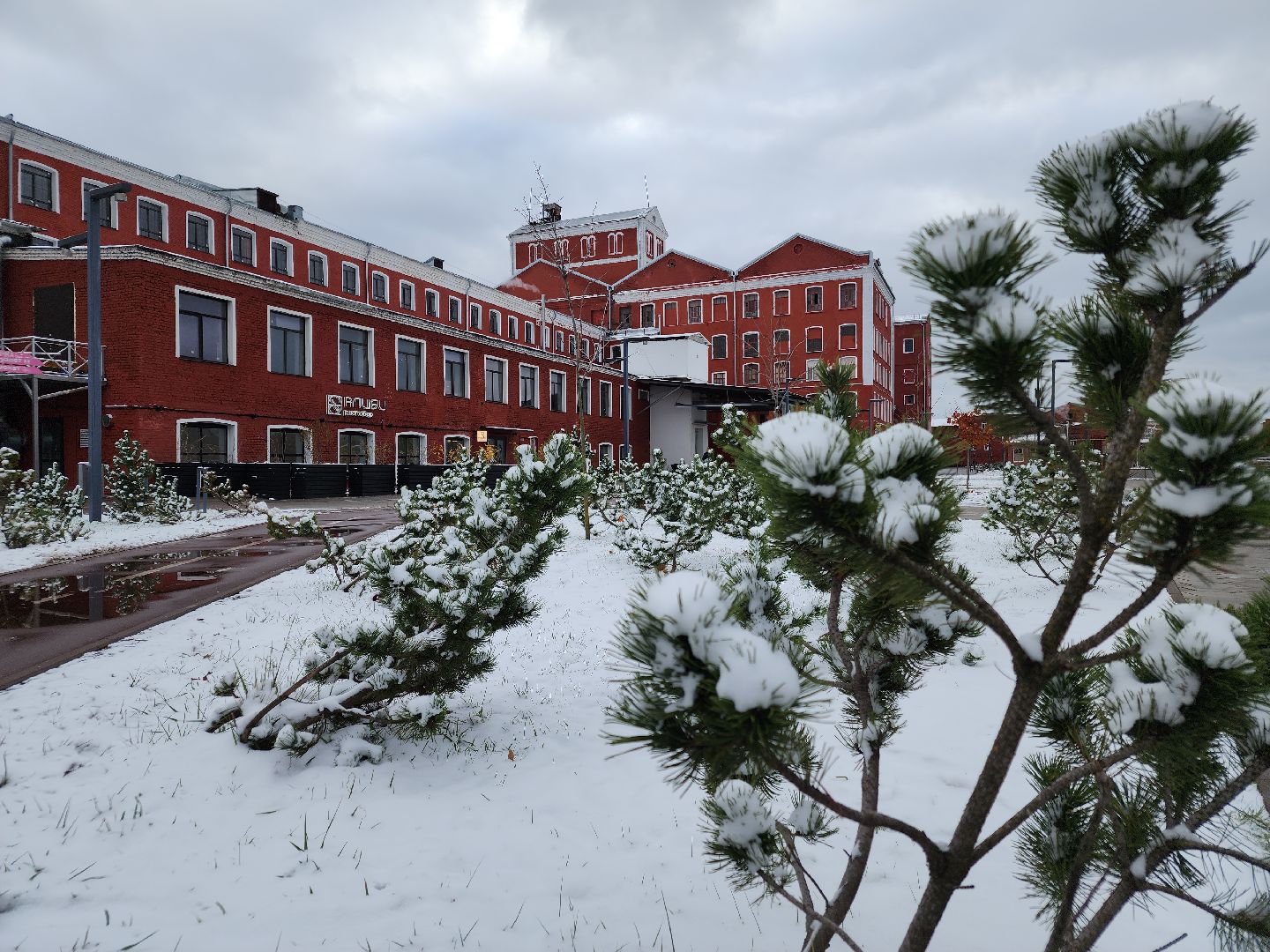 благоустройство 2024