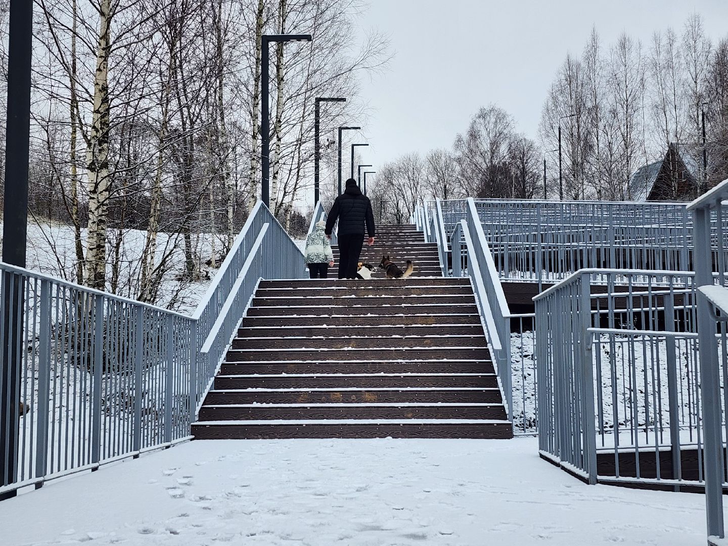 Ред