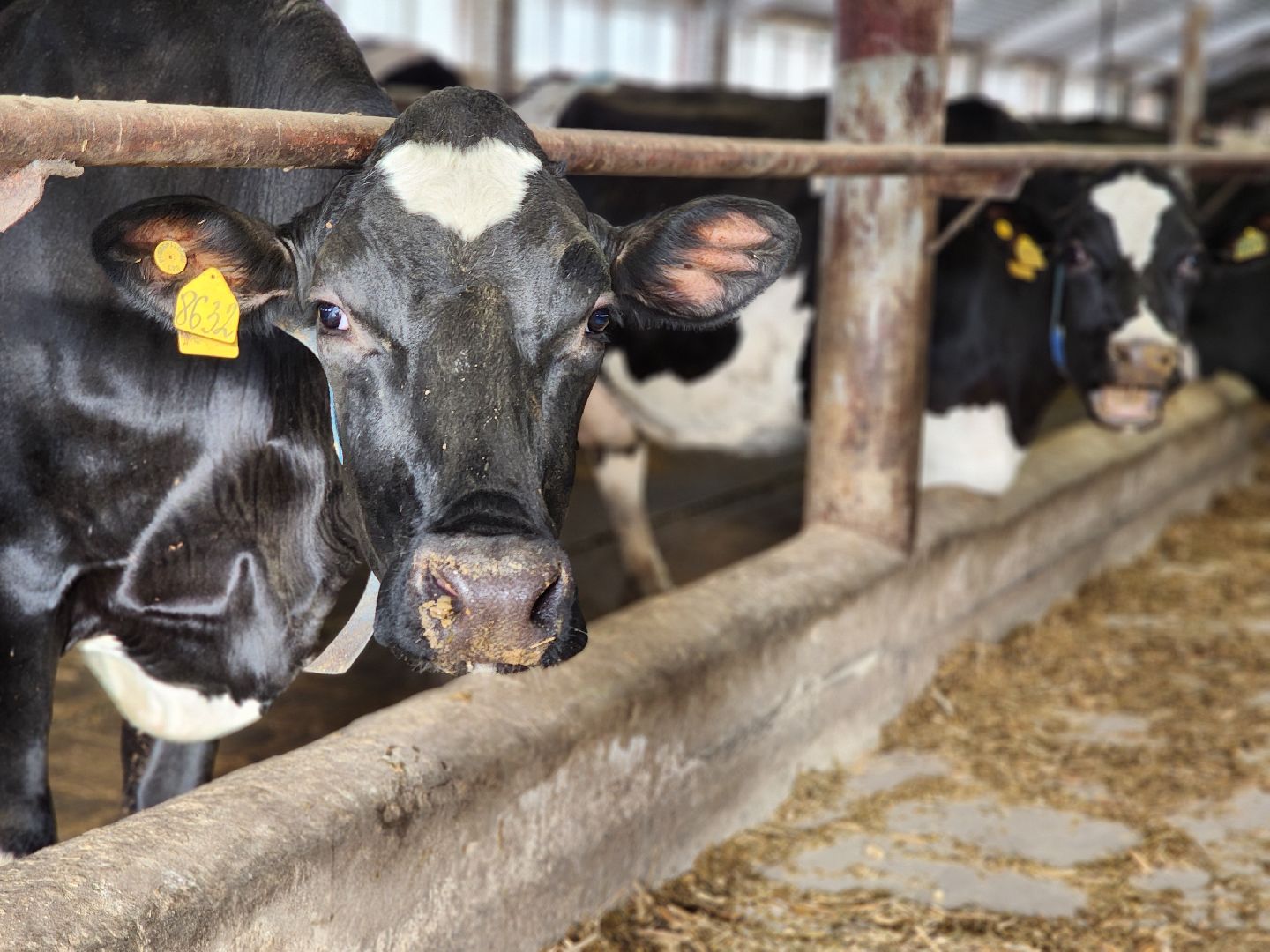 сельское хозяйство