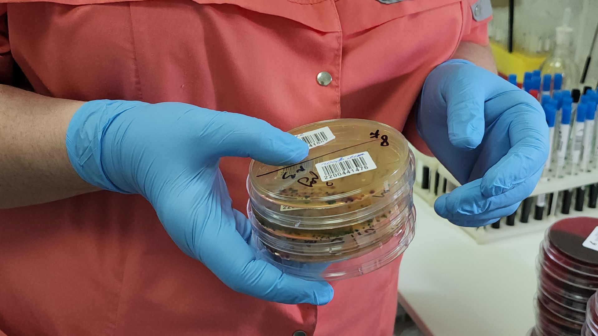 красногорск