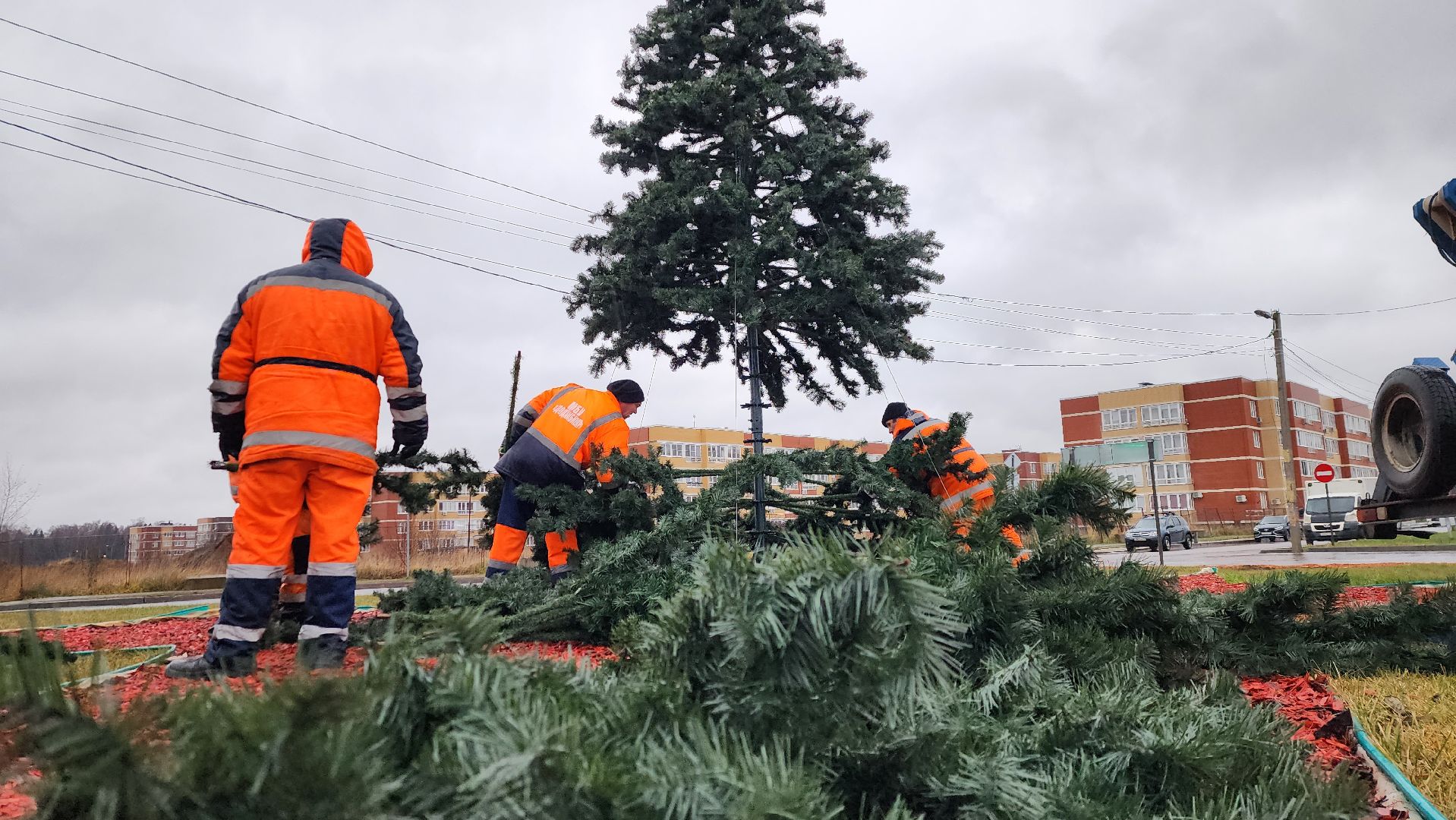 новогодняя елка