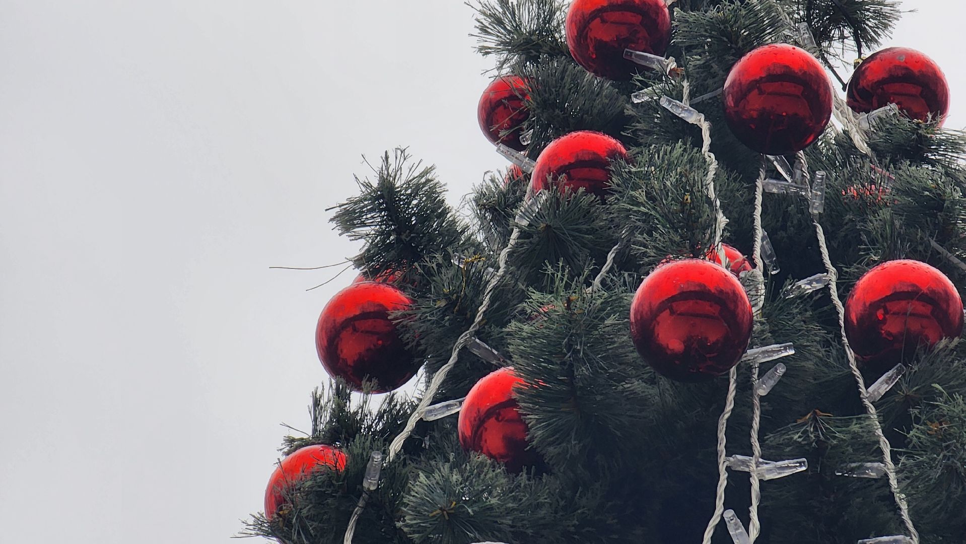 солнечногорск