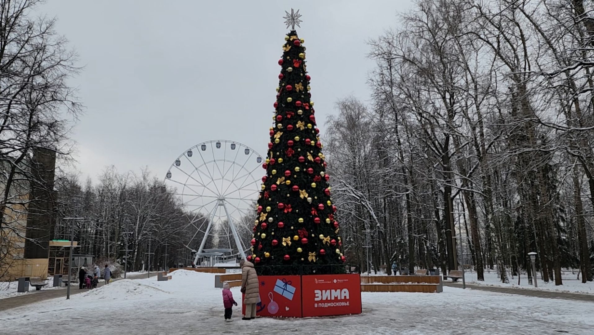 Зима
