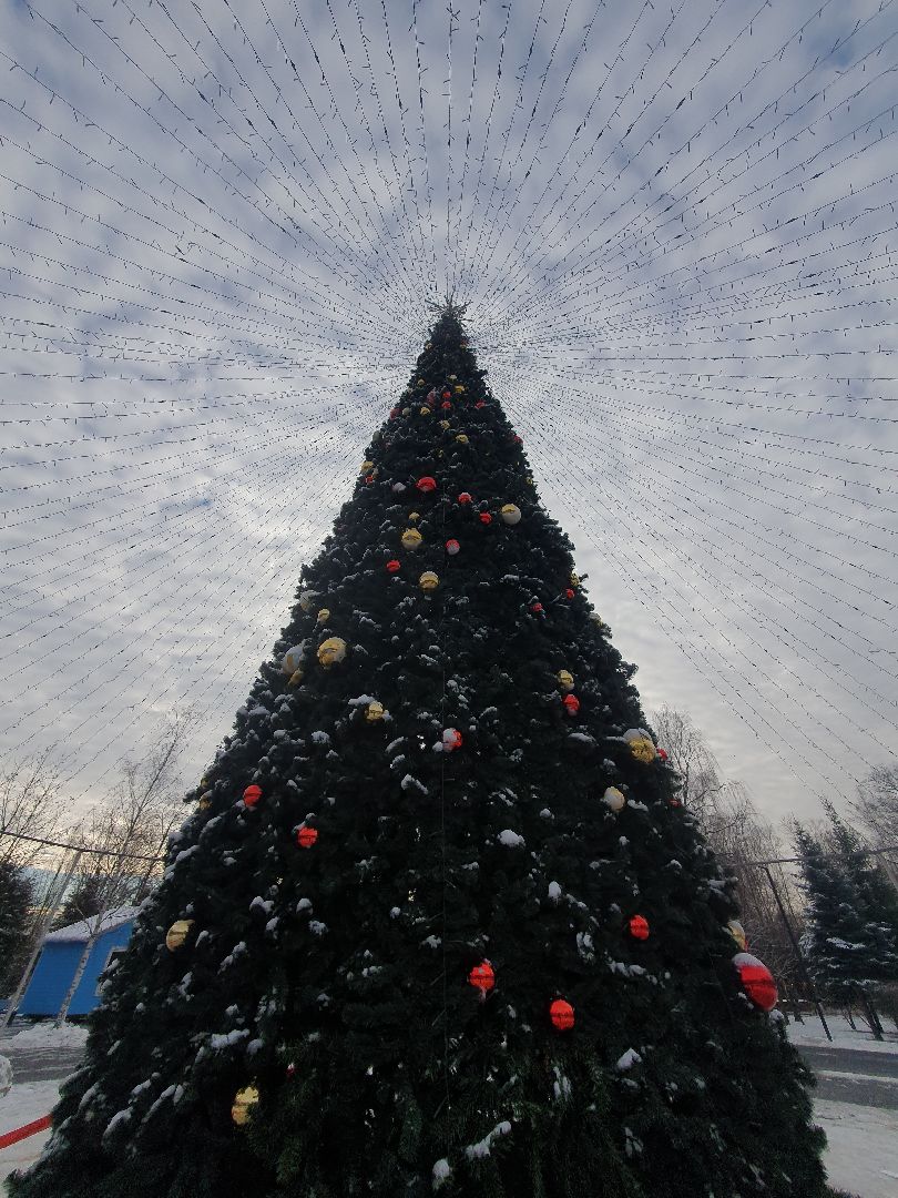 новогодняя елка