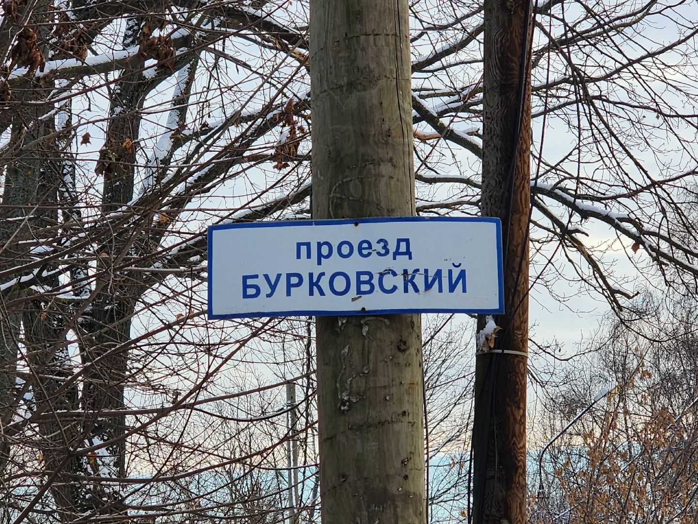 королёв