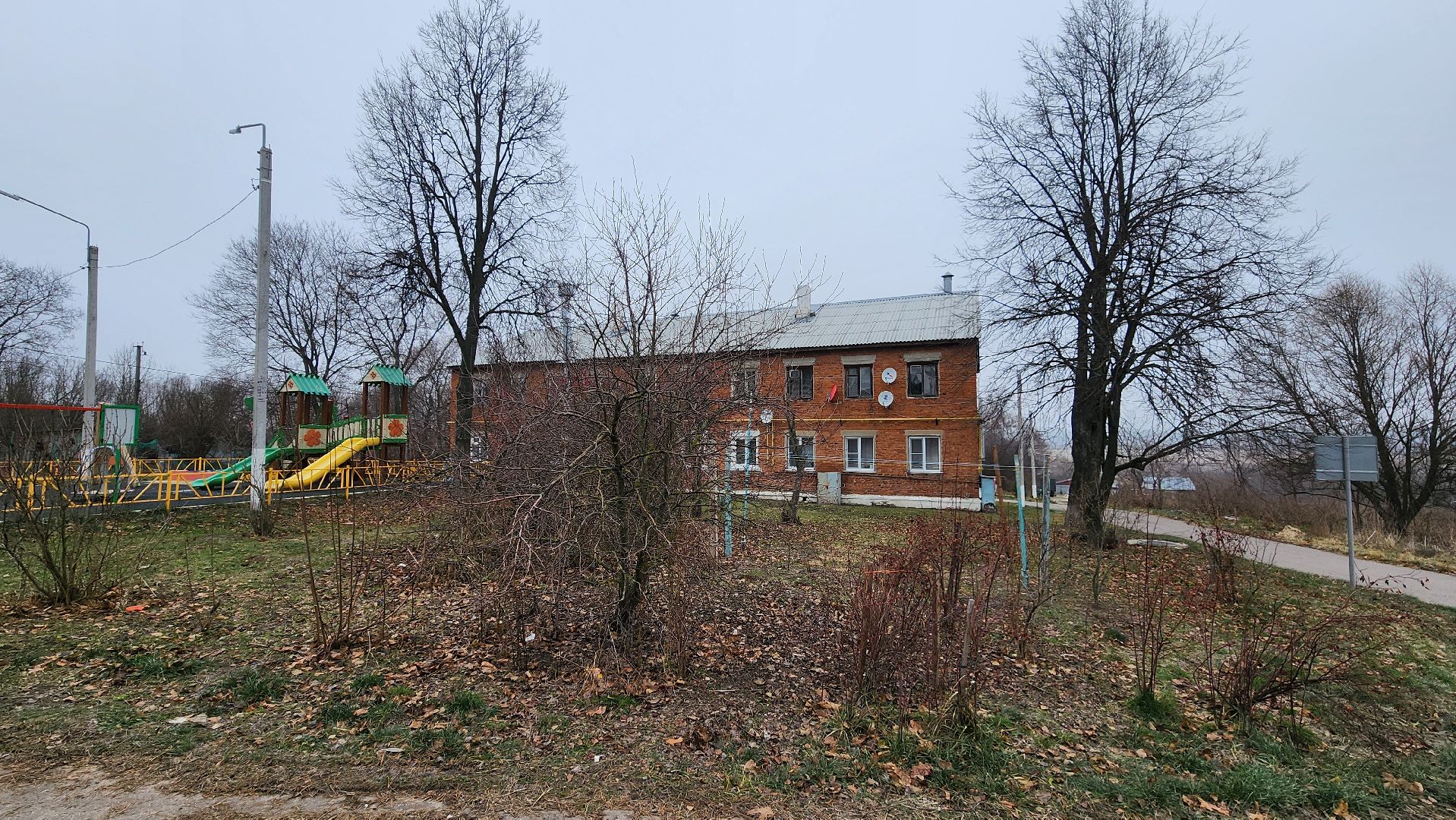 деревья