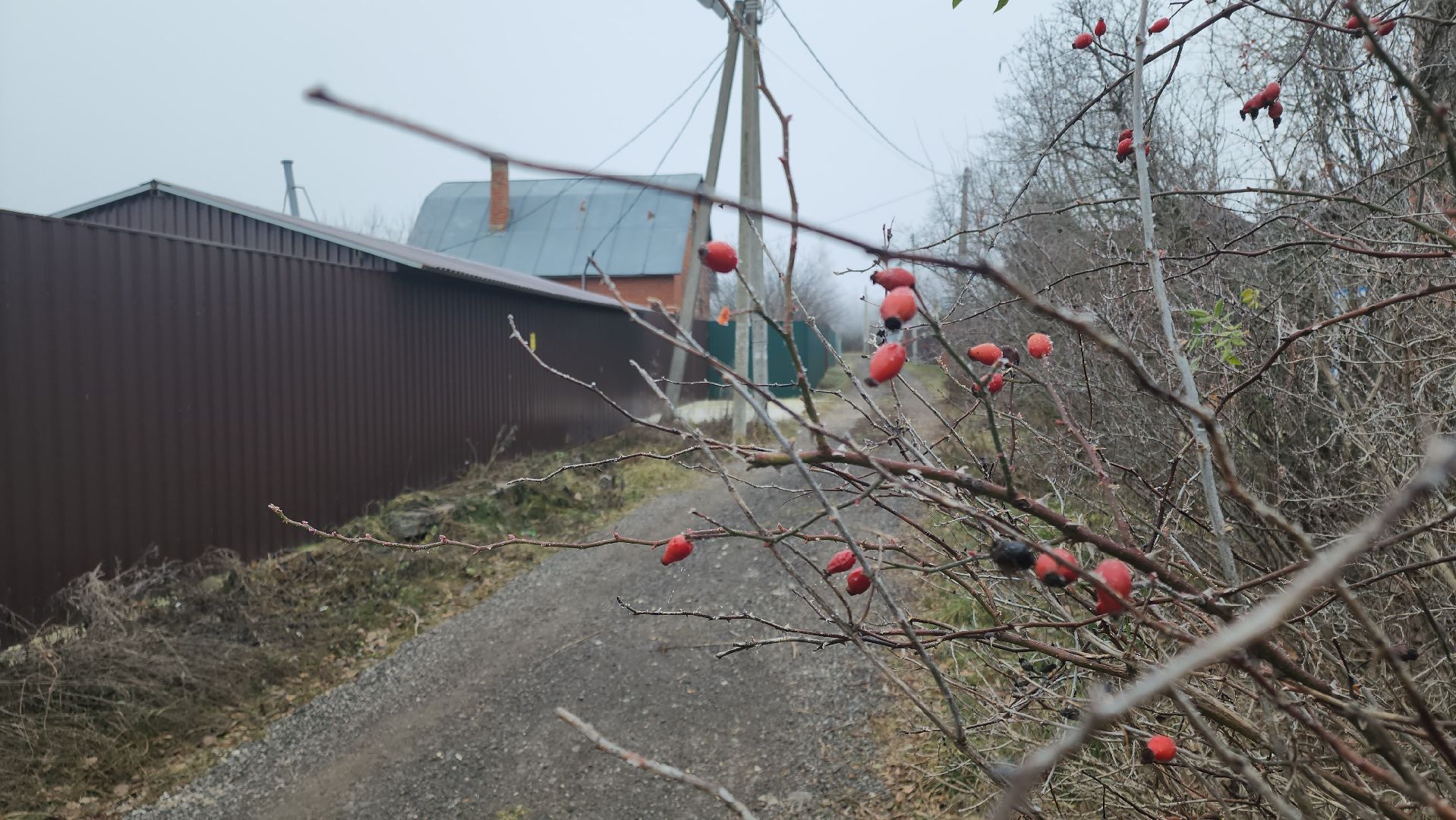 ремонт дорог