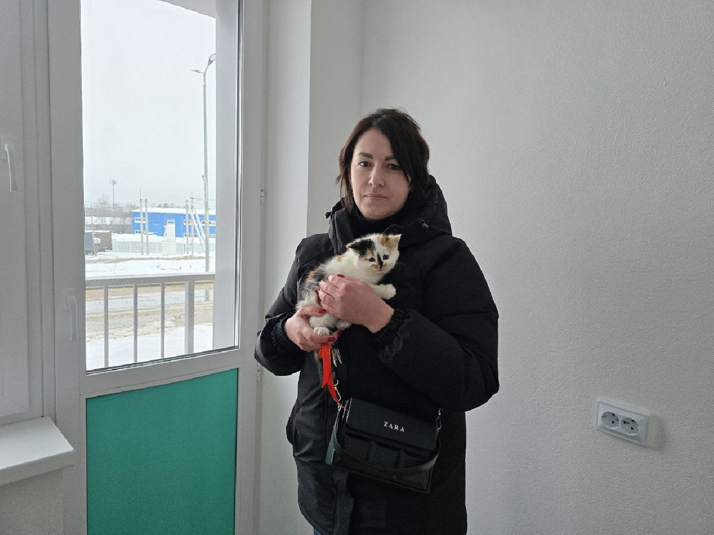 переселение