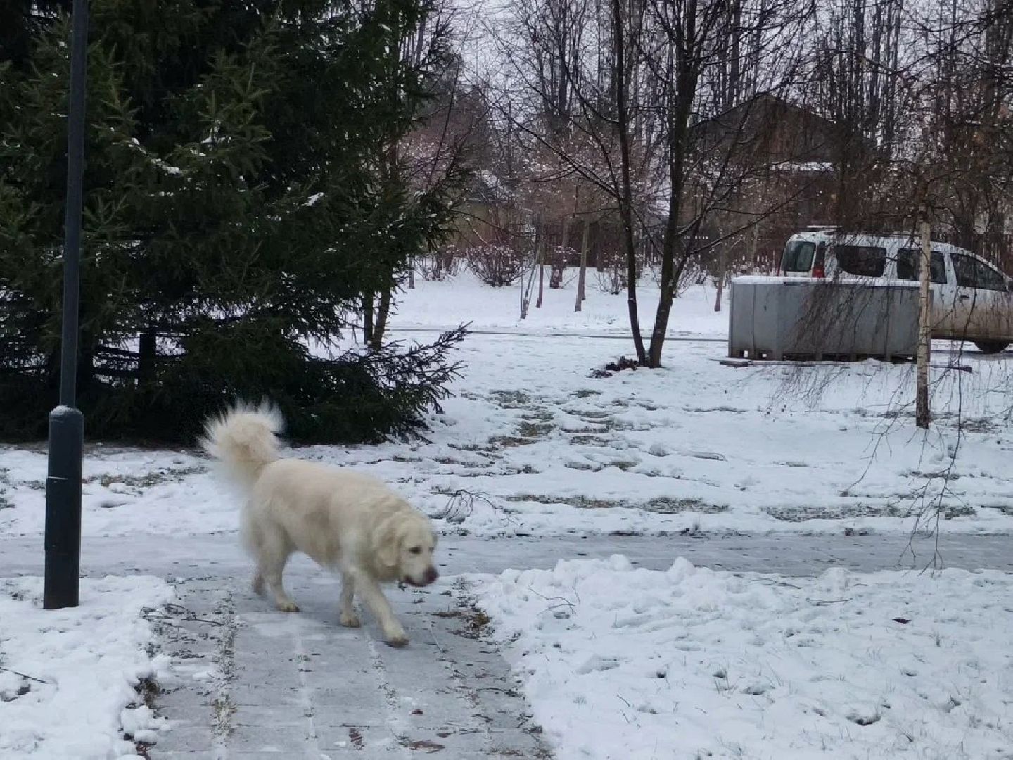 власть