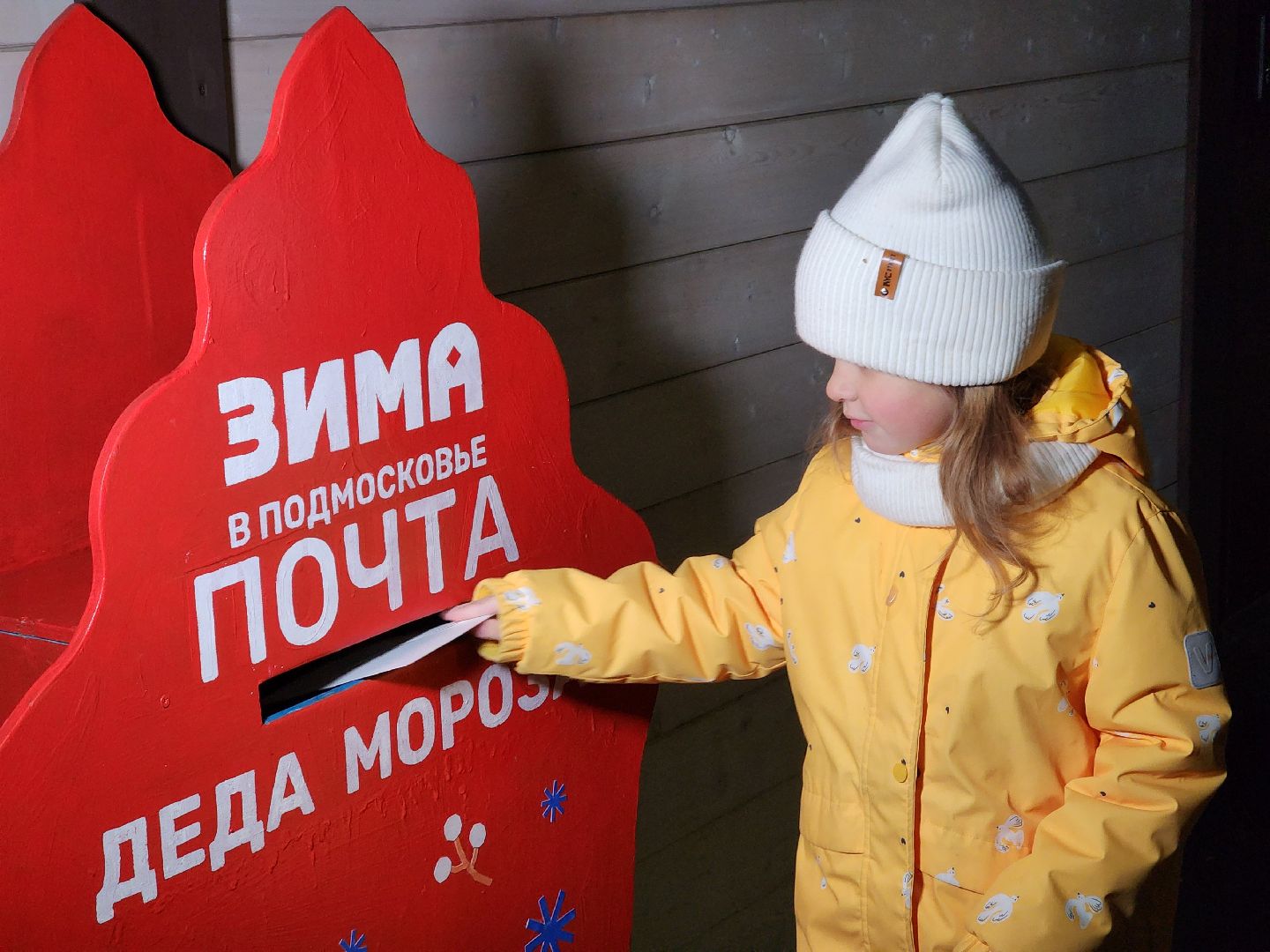 ели