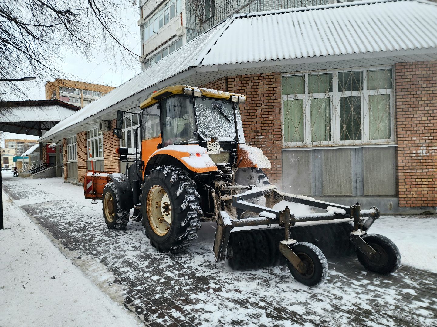ухо