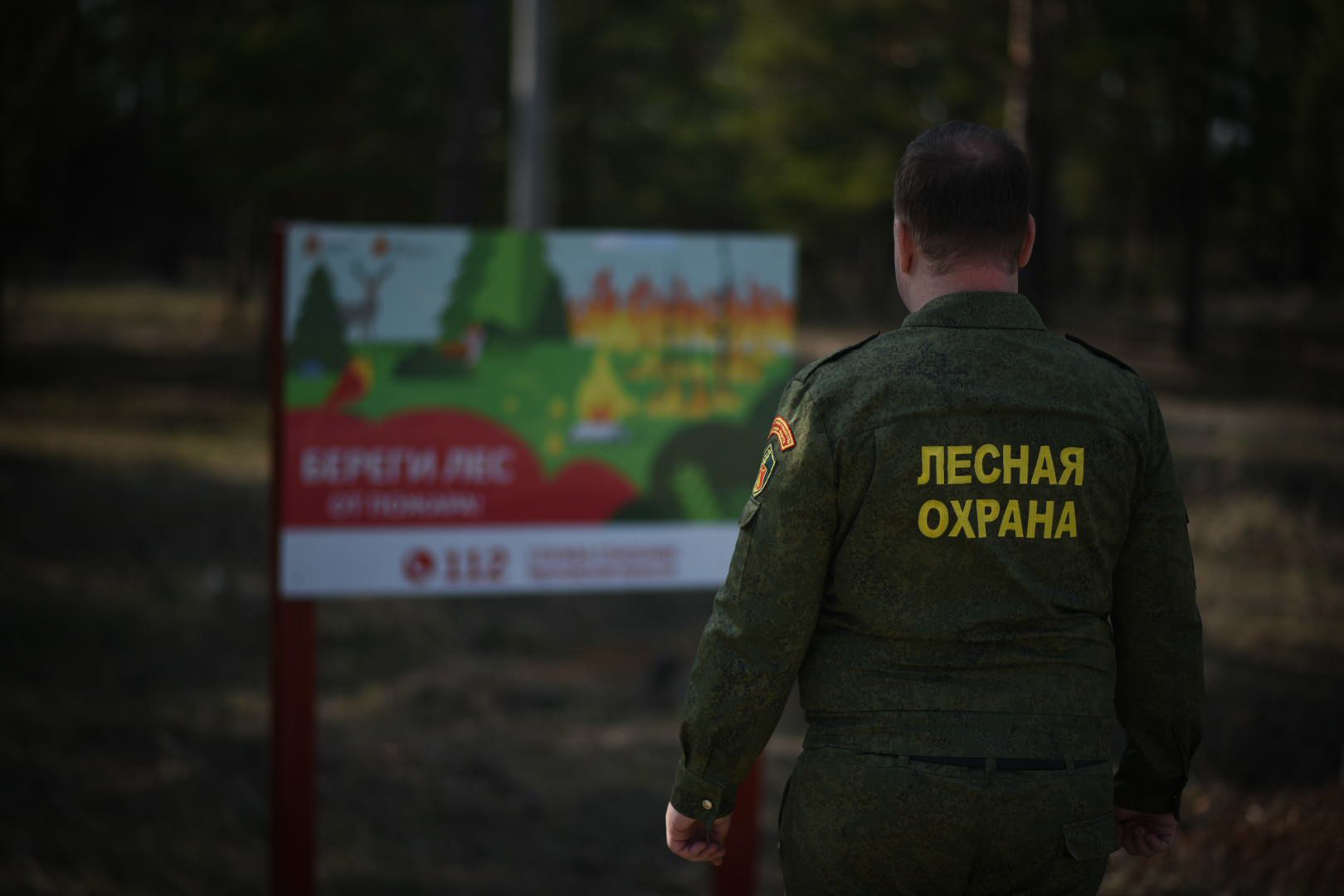 лесничество