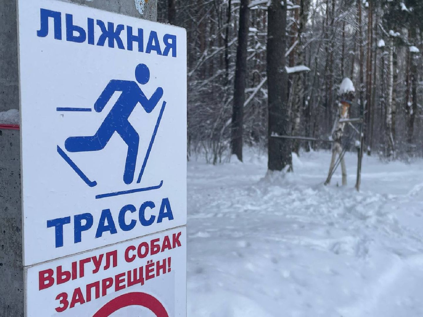 Дмитров