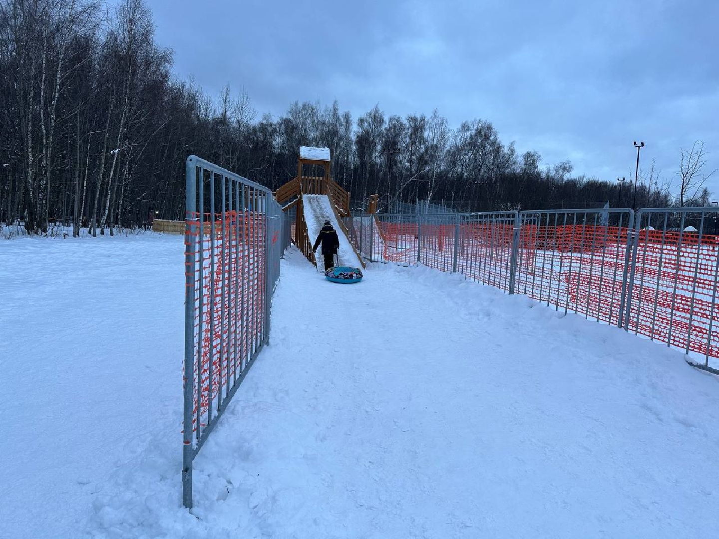 зима в Подмосковье