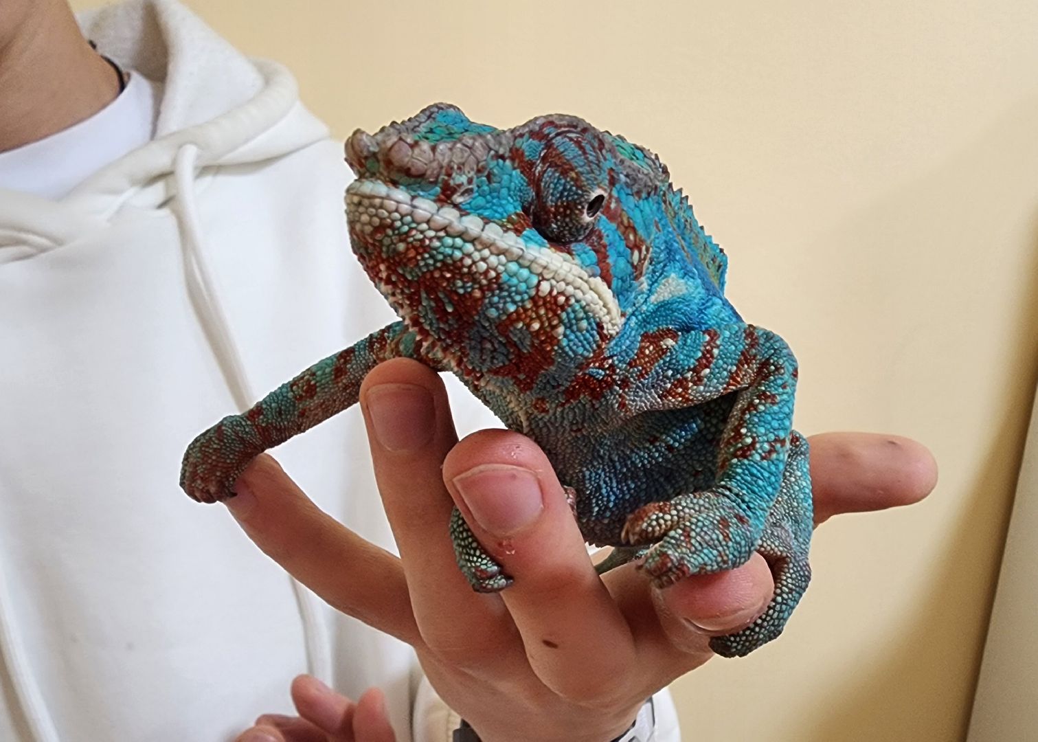 го