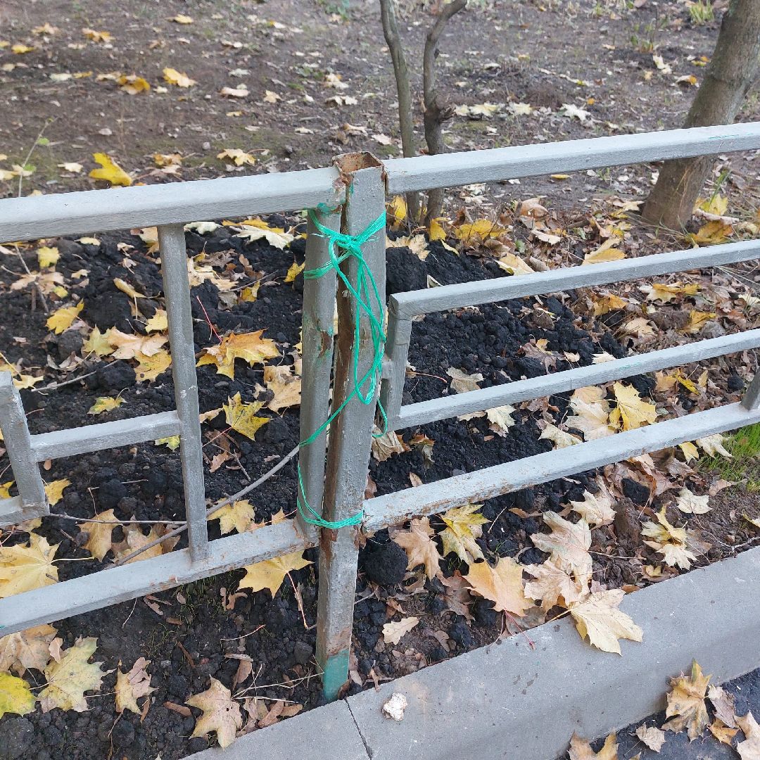 Солнечный