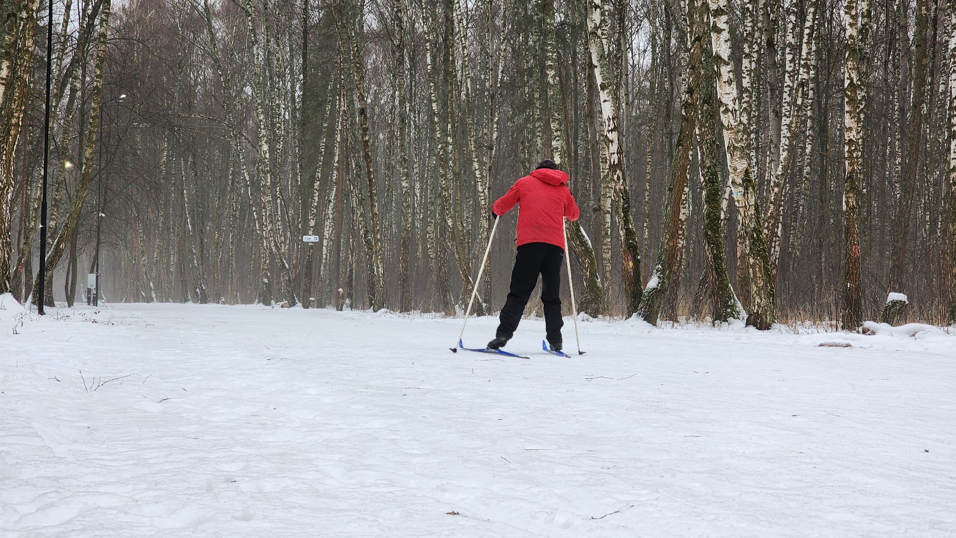 лыжня