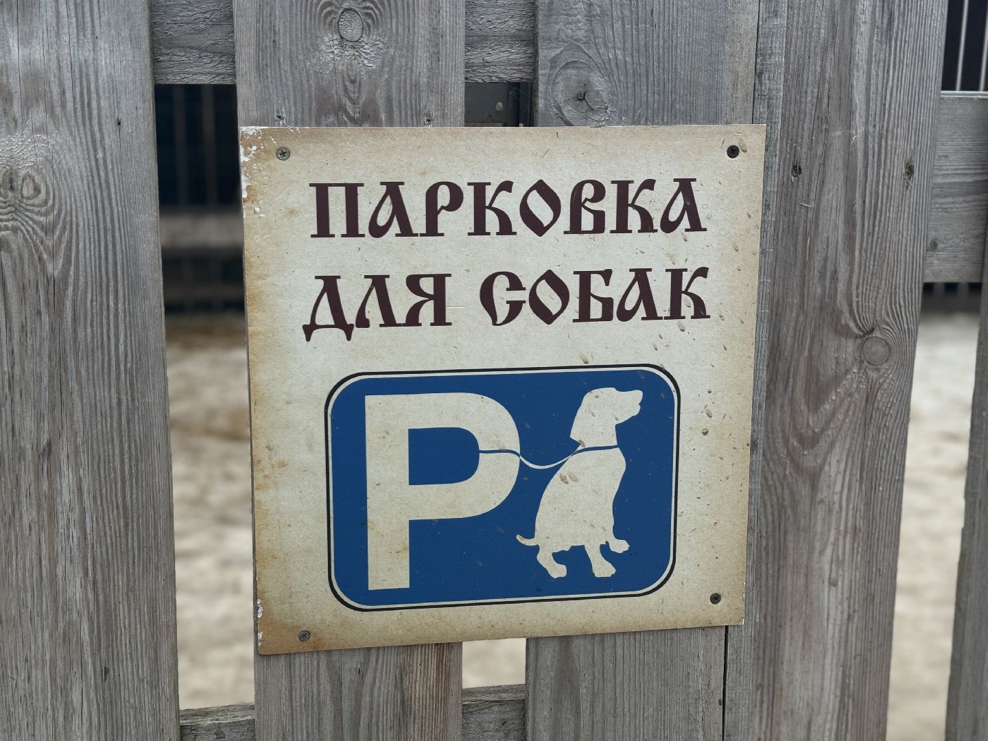 Снег